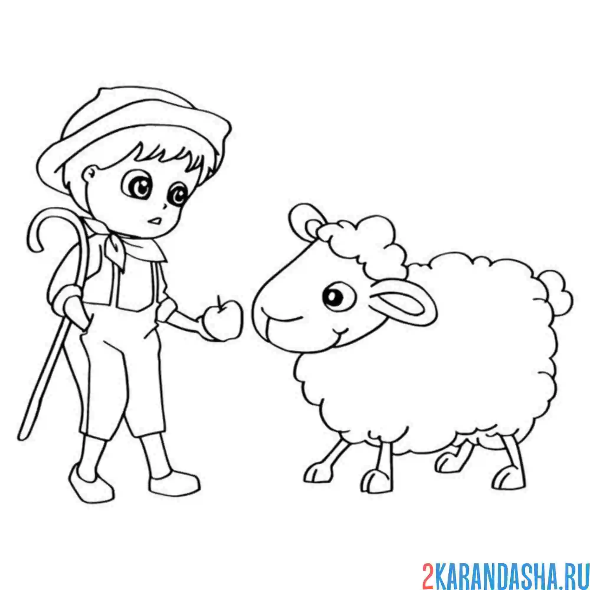 Раскраска пастух и овца