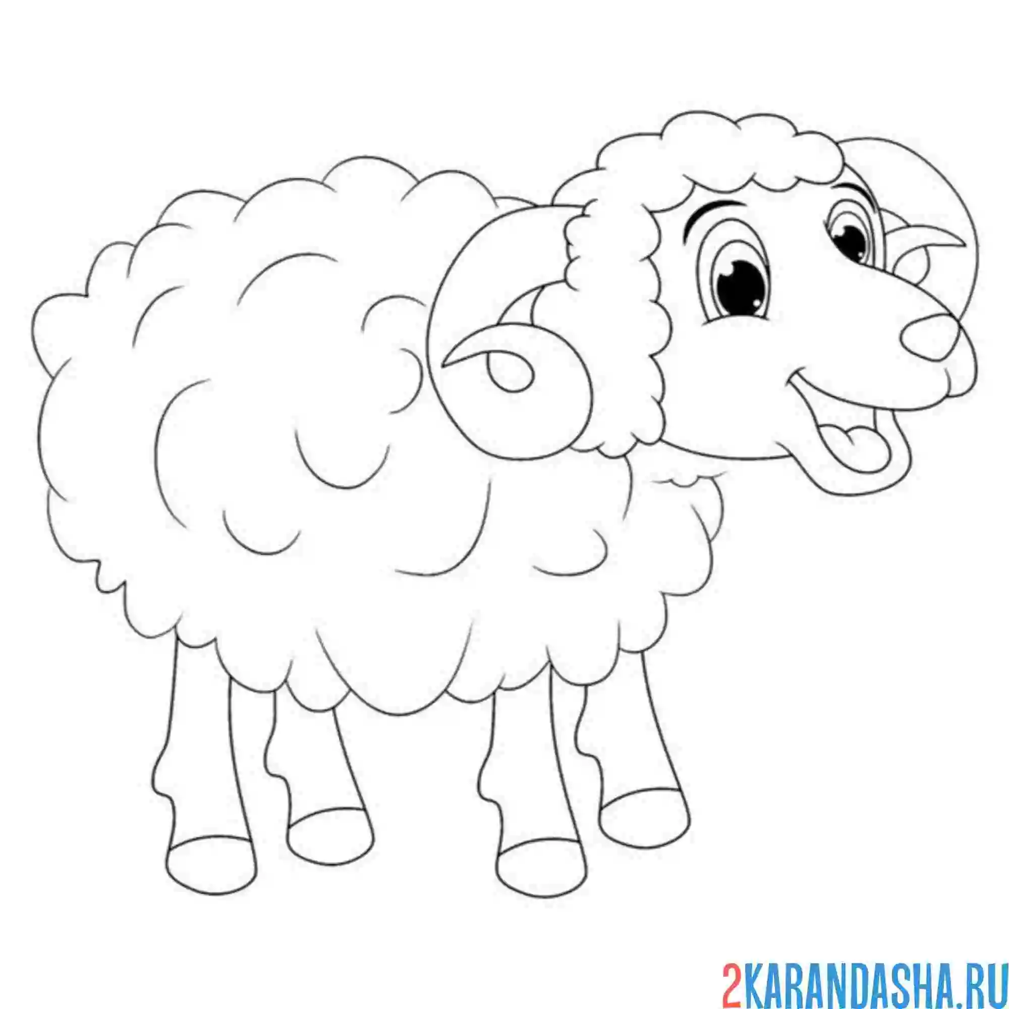 Раскраска беее баран