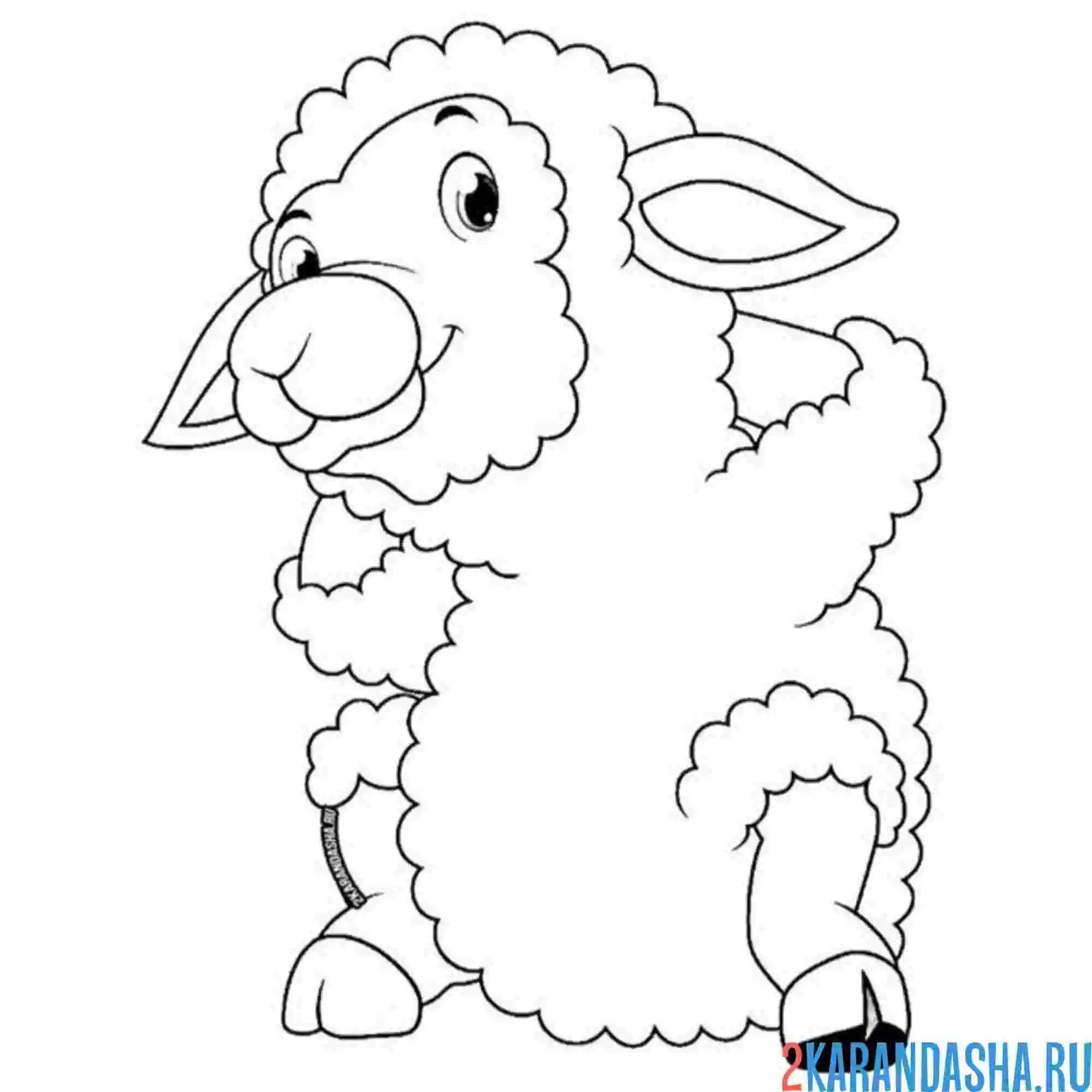 Раскраска овечка крутая