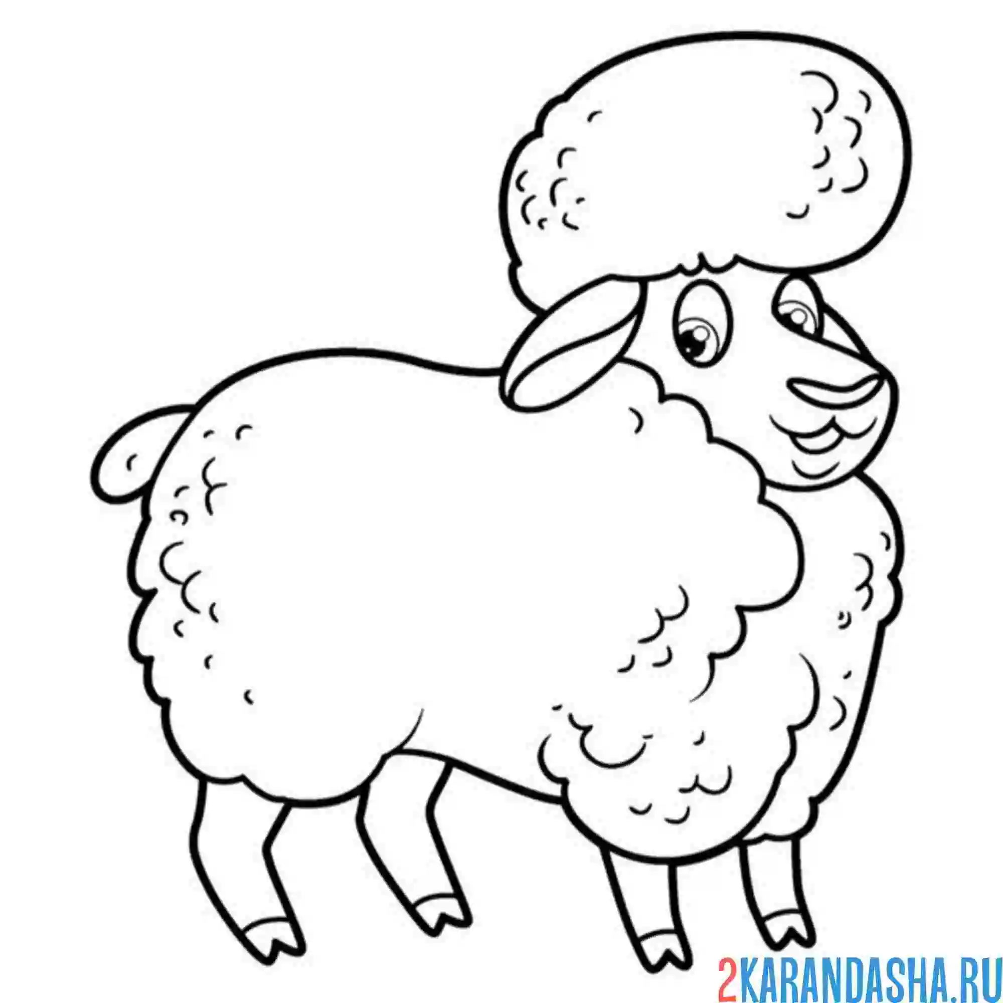Раскраска овечка с прической