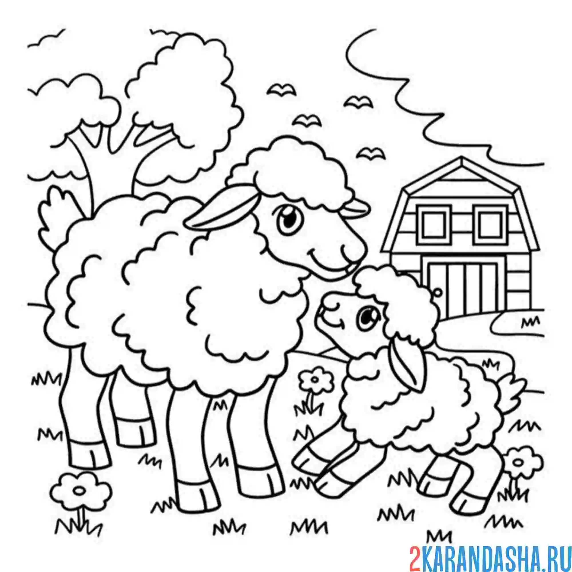 Раскраска мама овца и овечка