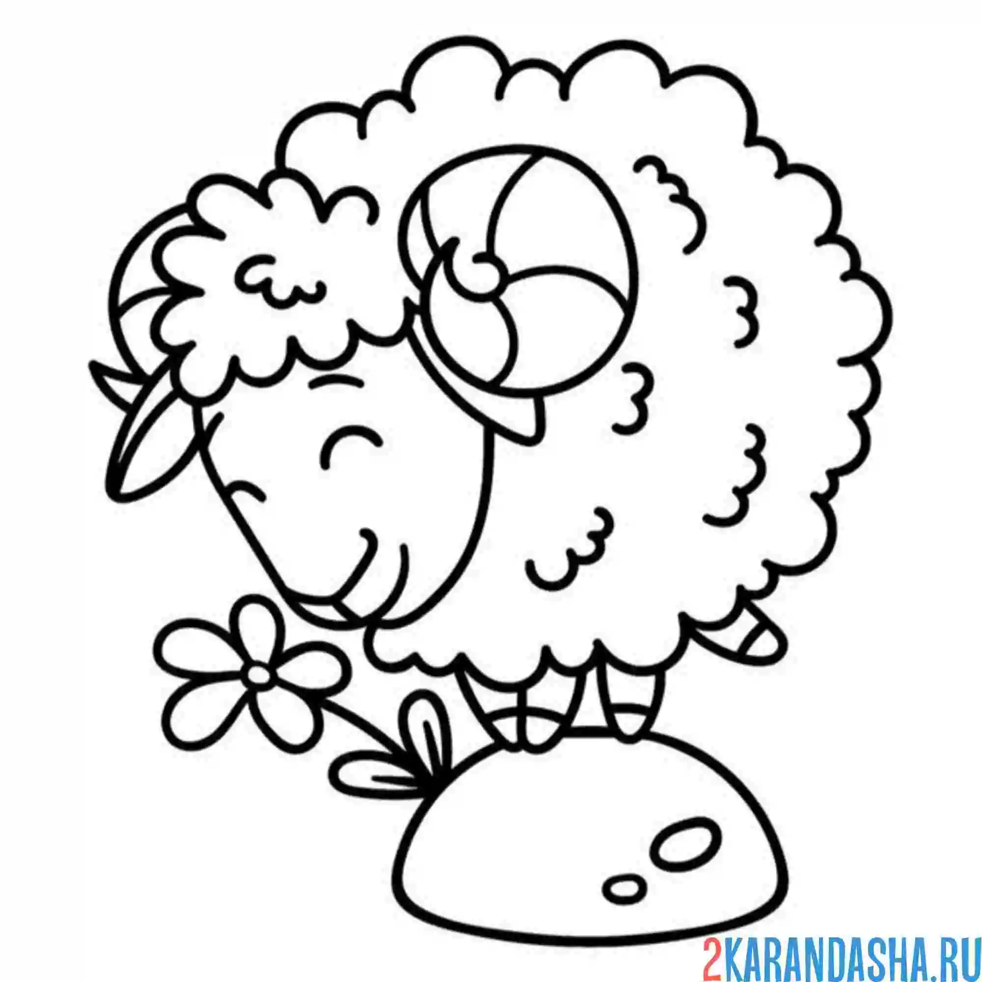 Раскраска баран и цветочек