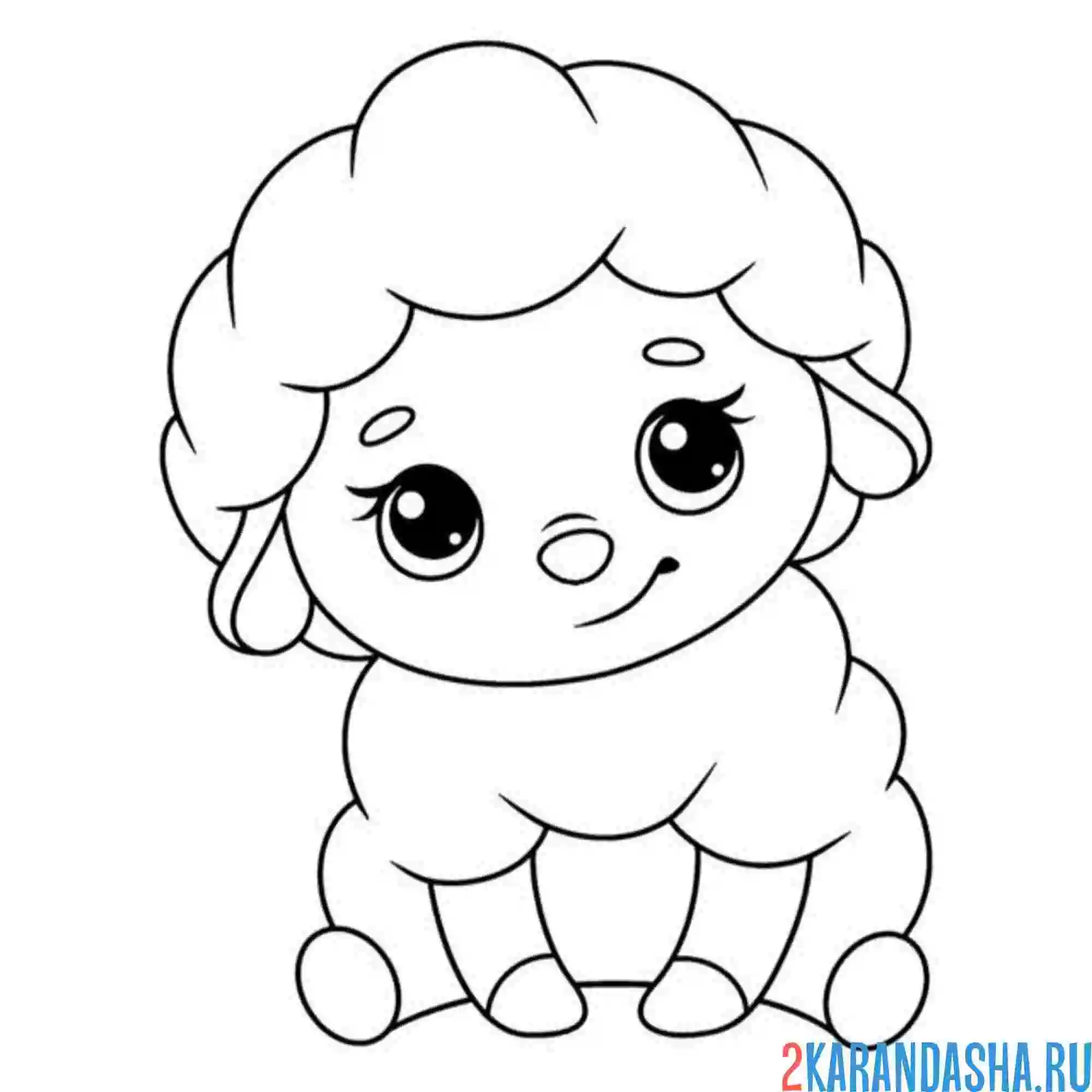 Раскраска малыш овечка