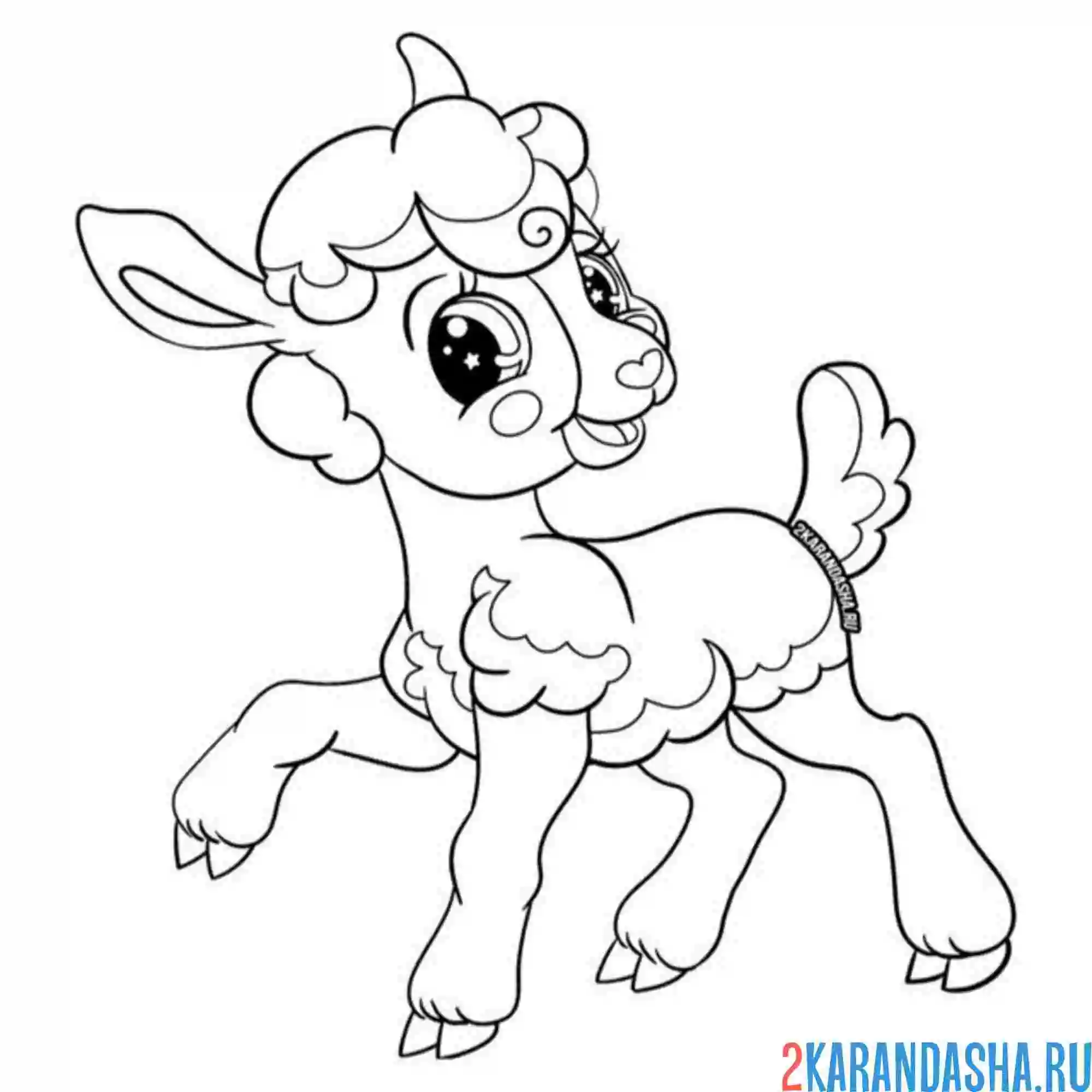 Раскраска овечка милашка