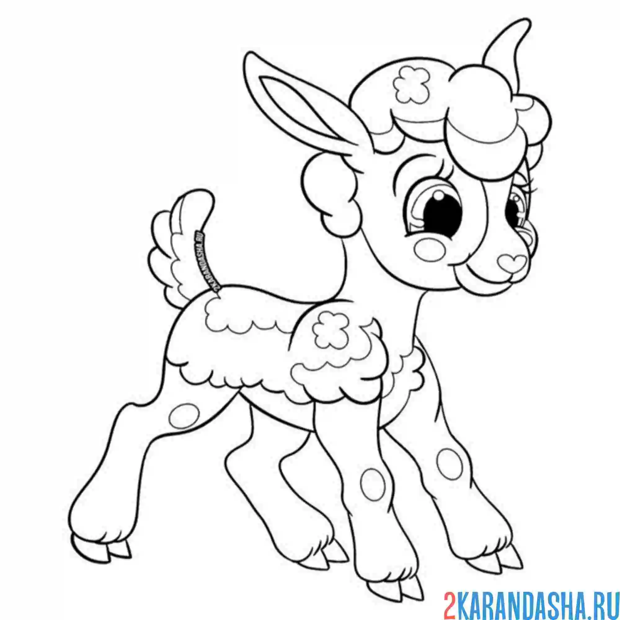 Раскраска милаш барашек