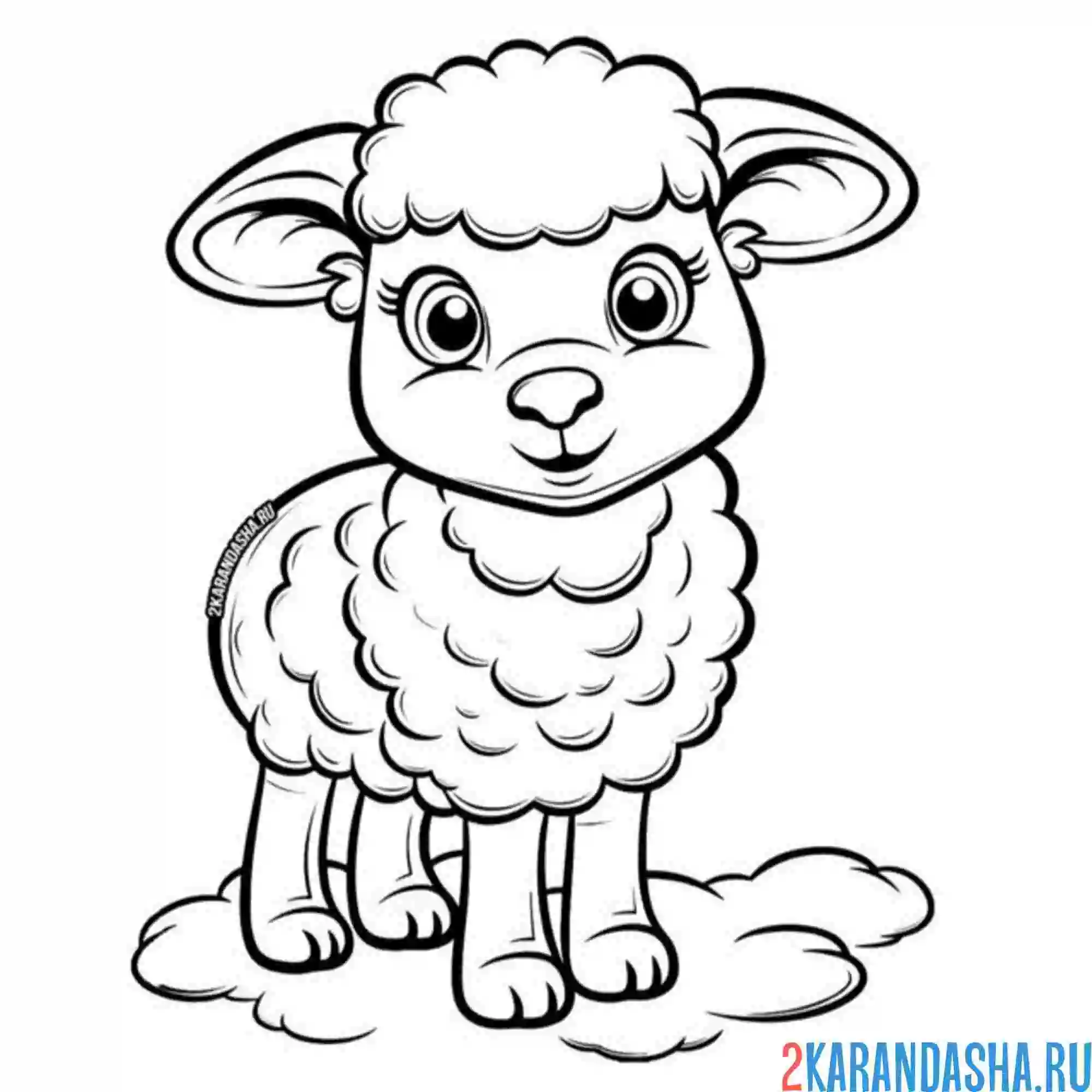 Раскраска барашек вышел гулять