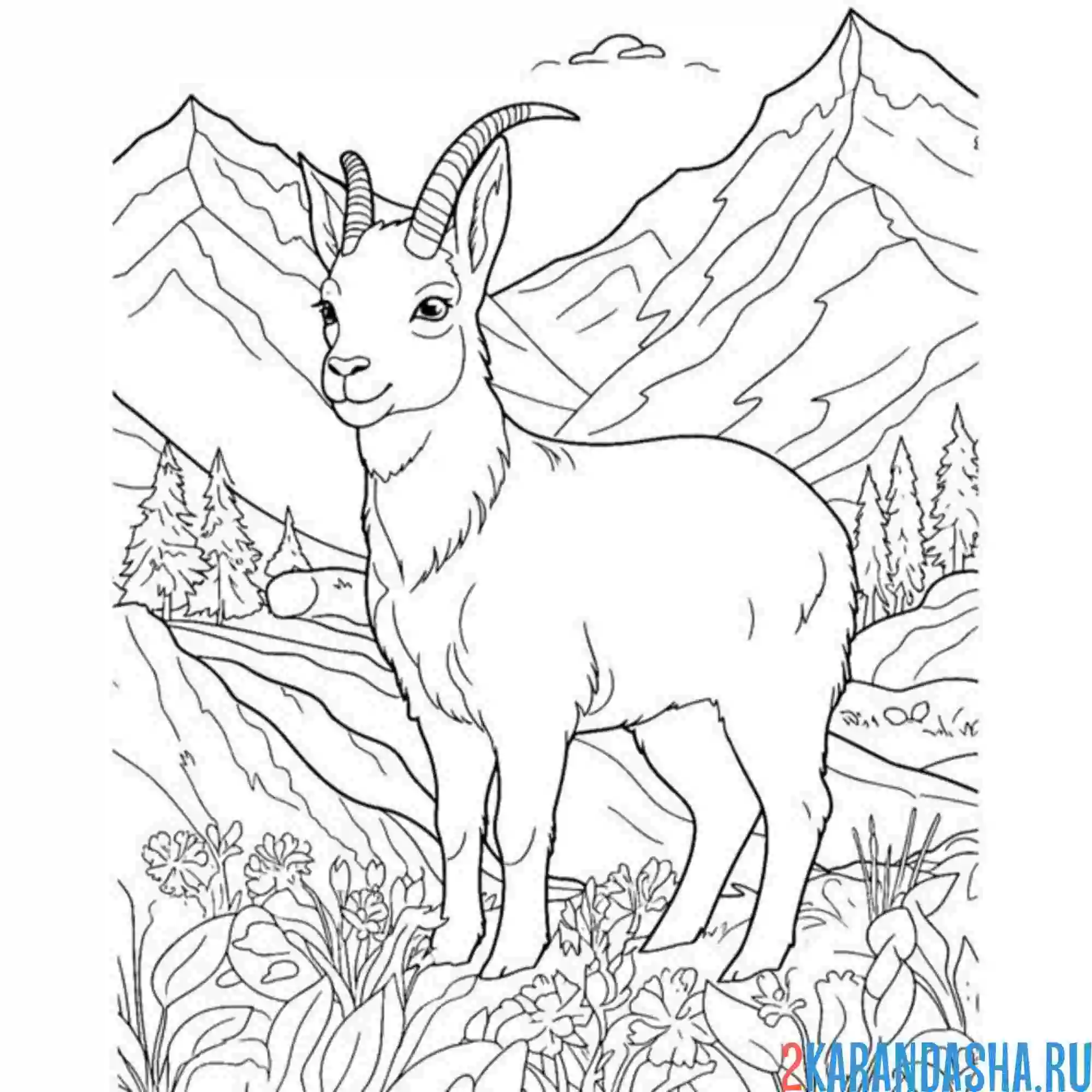 Раскраска горный козел в горах