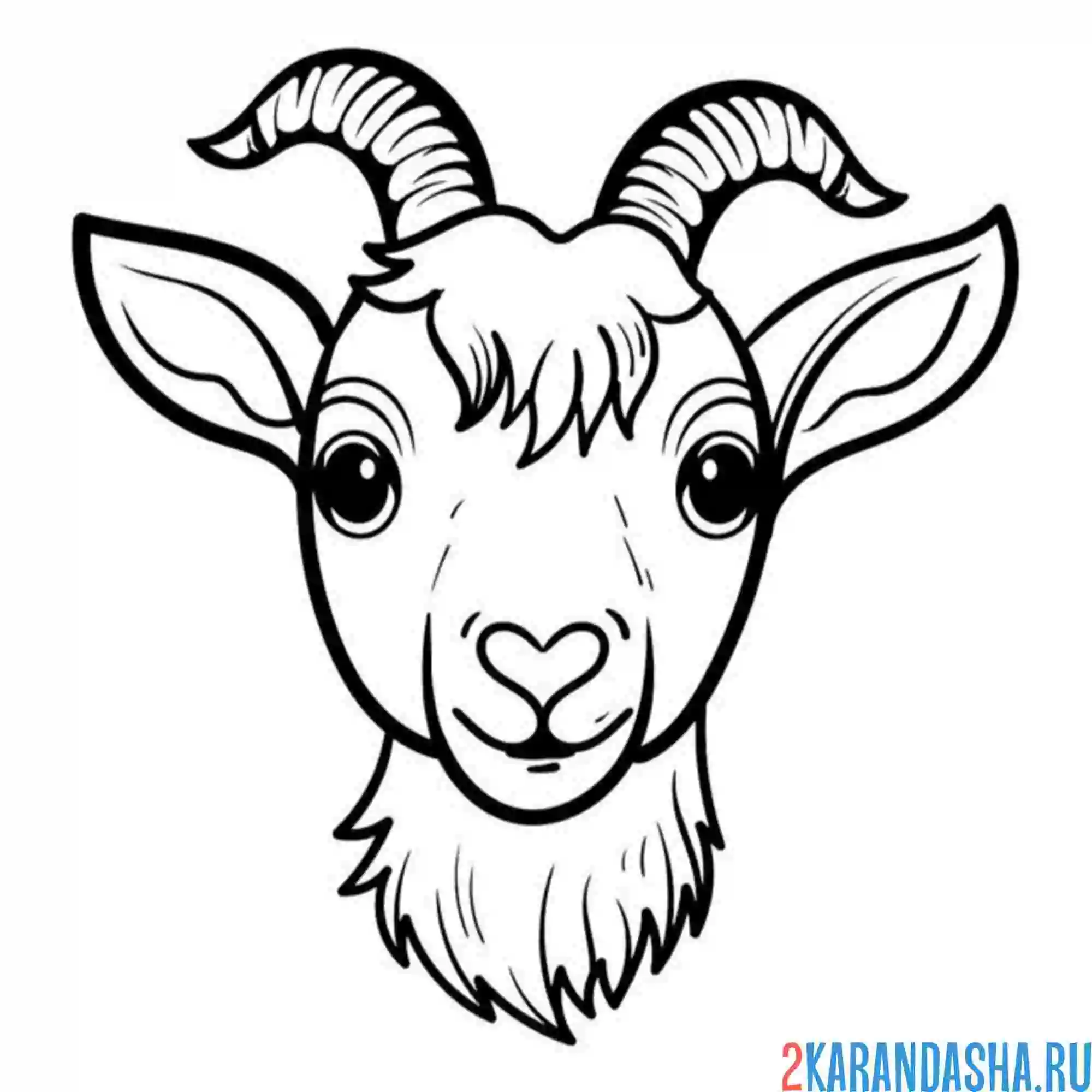 Раскраска коза голова