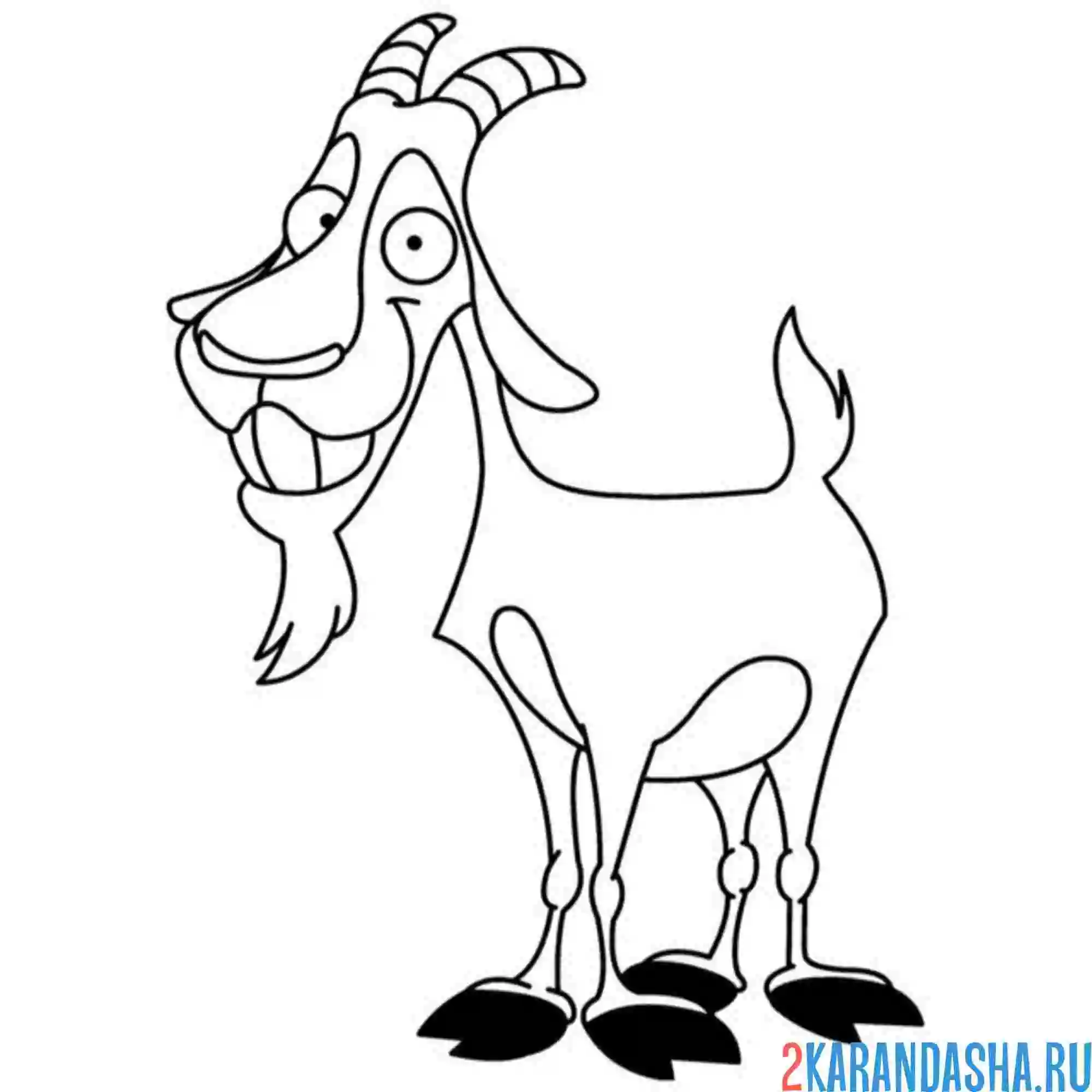 Раскраска козел бородатый