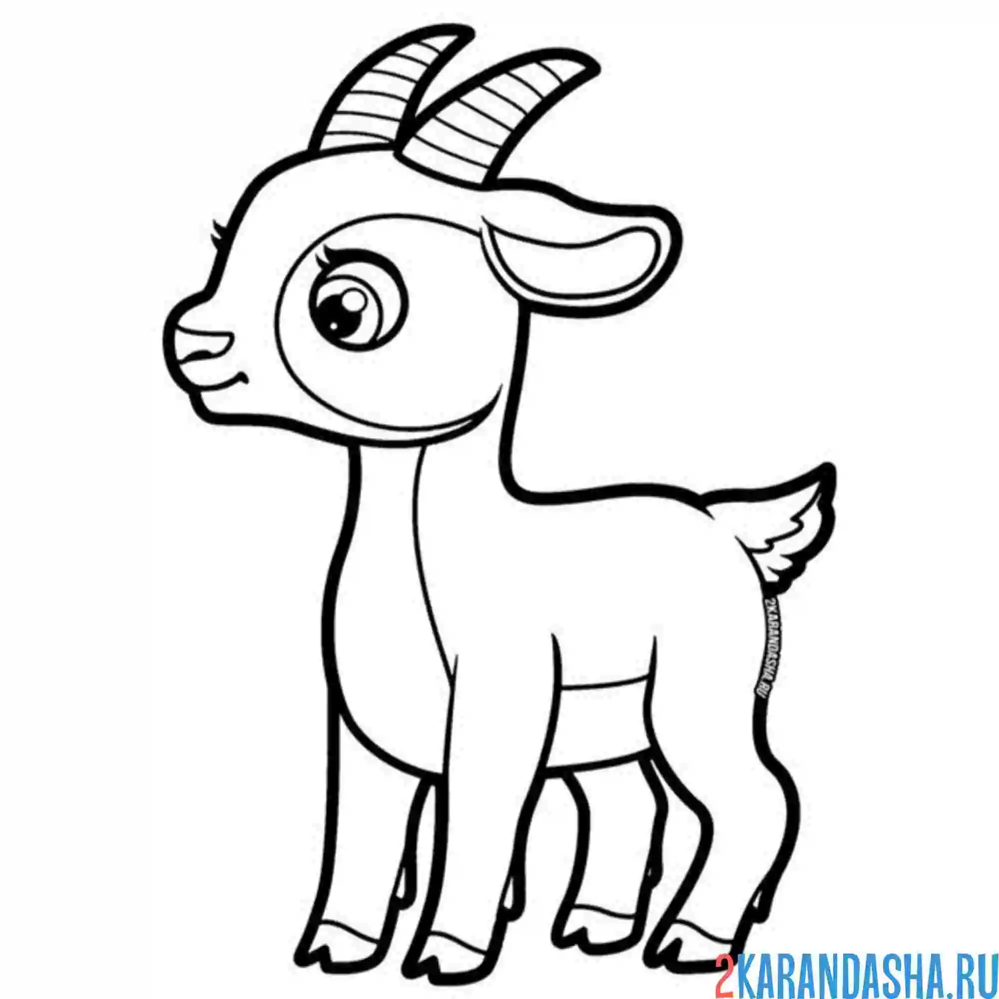 Раскраска маленький козелнок