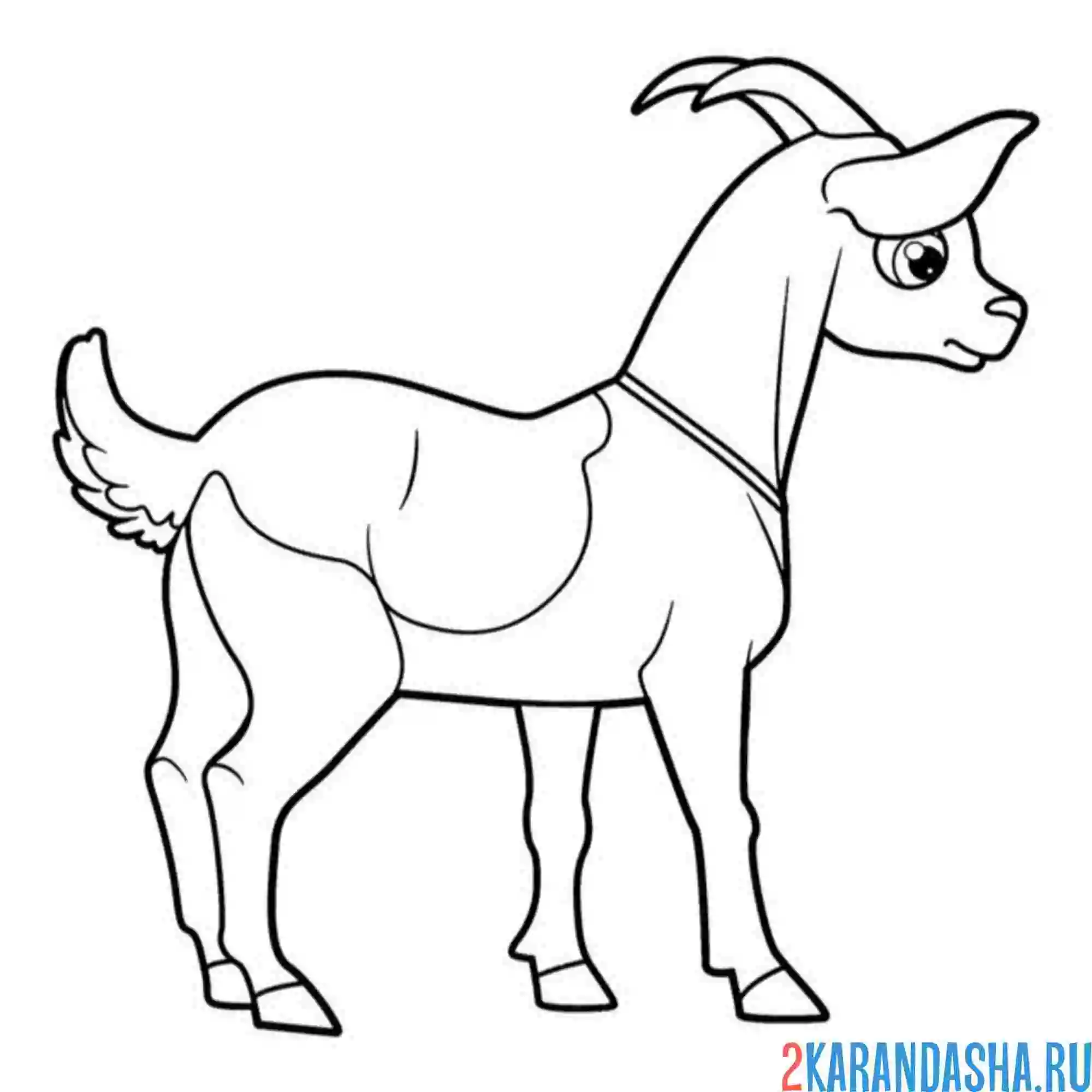 Раскраска коза
