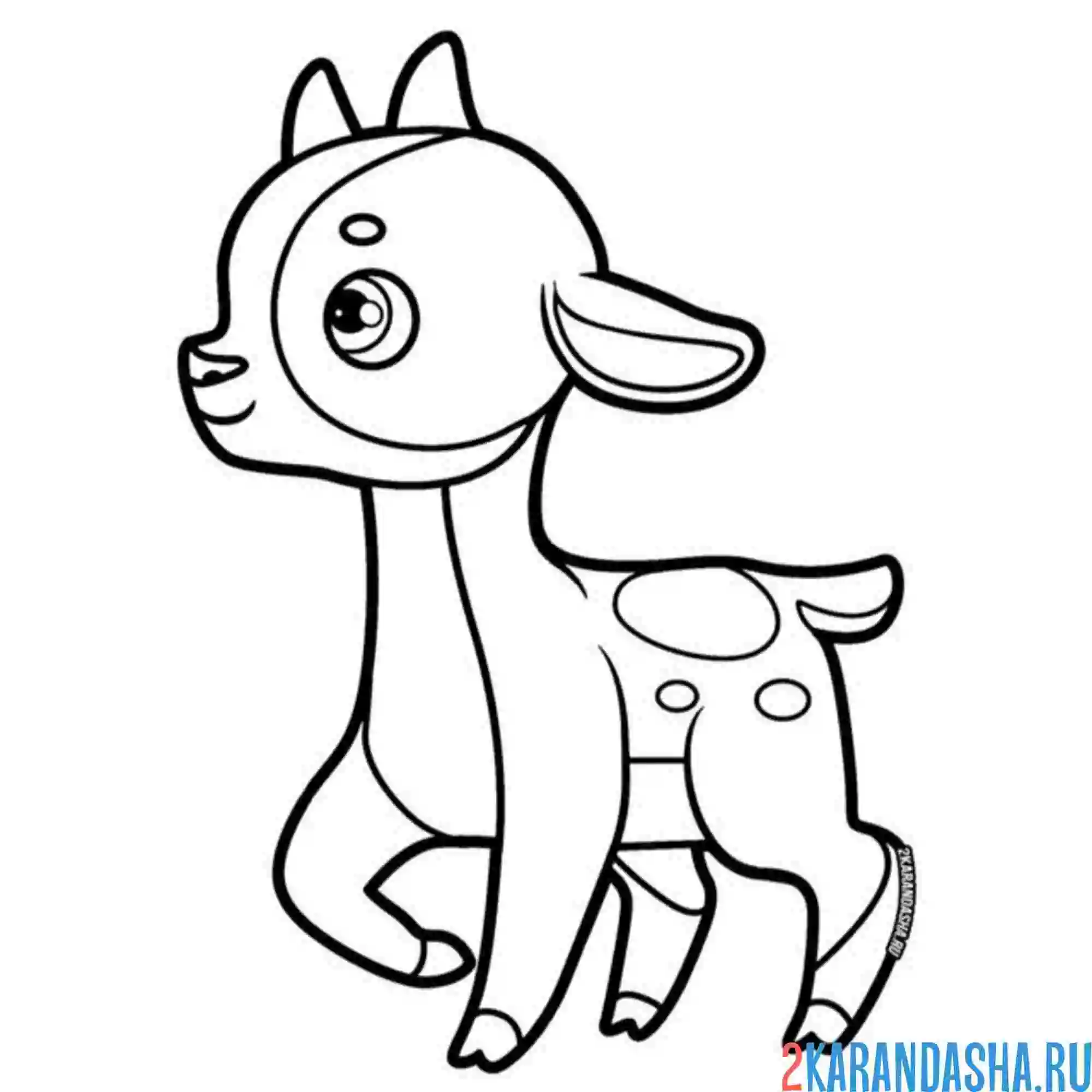 Раскраска маленькая козочка