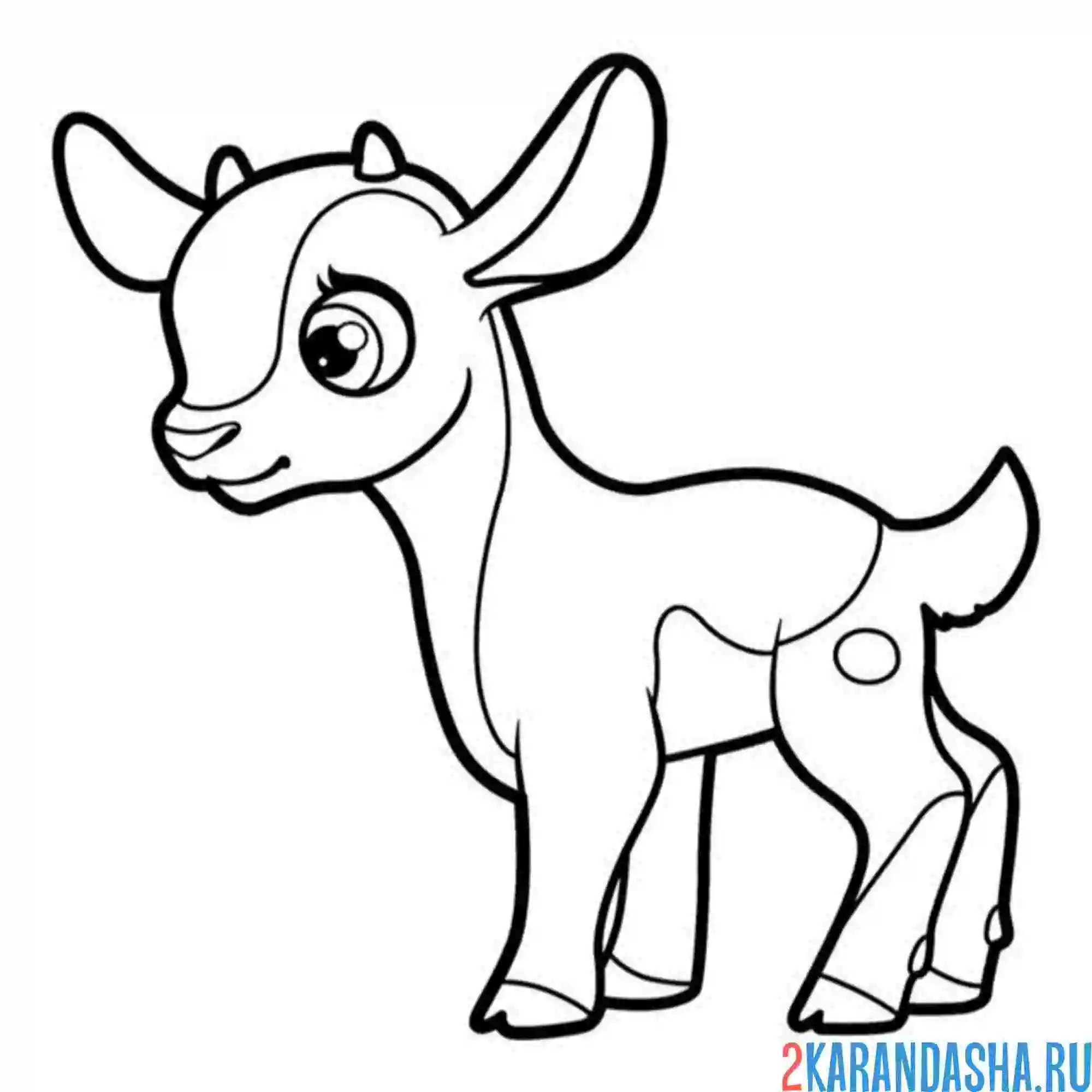 Раскраска козлик малыш козленок