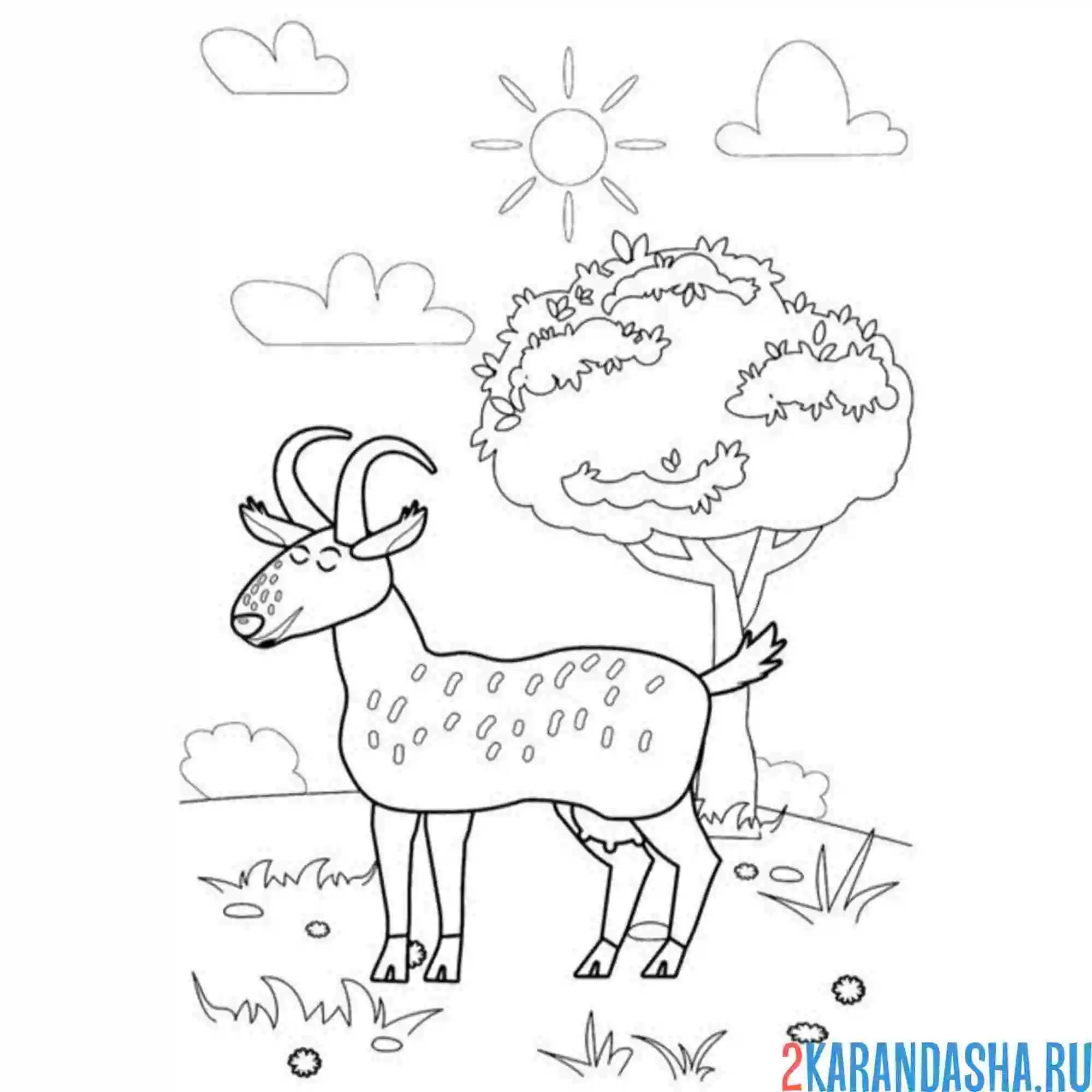 Раскраска дерево и коза