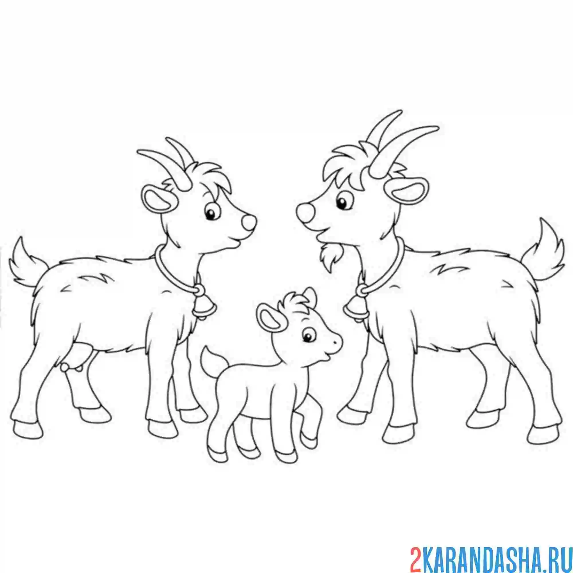 Раскраска козел, коза и козленок