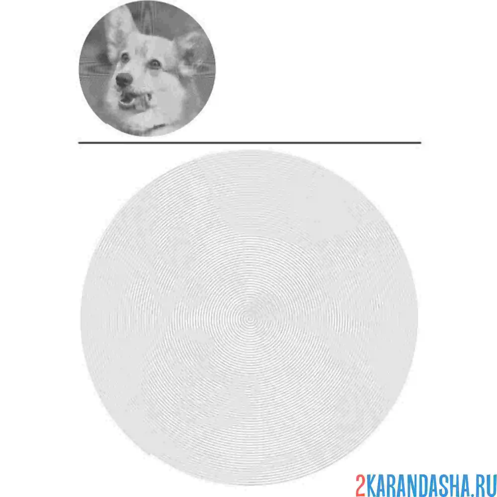 Раскраска корги