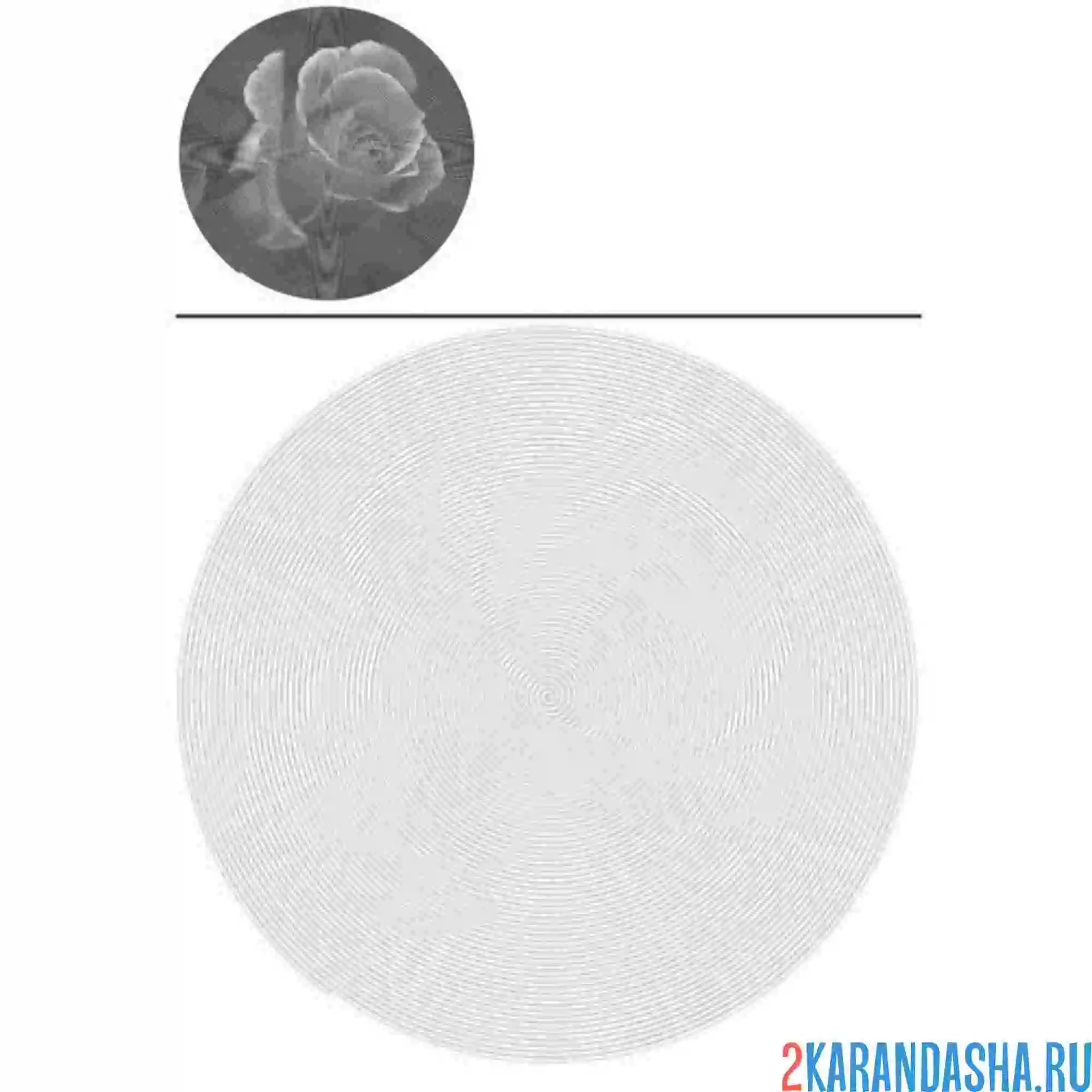 Раскраска розочка