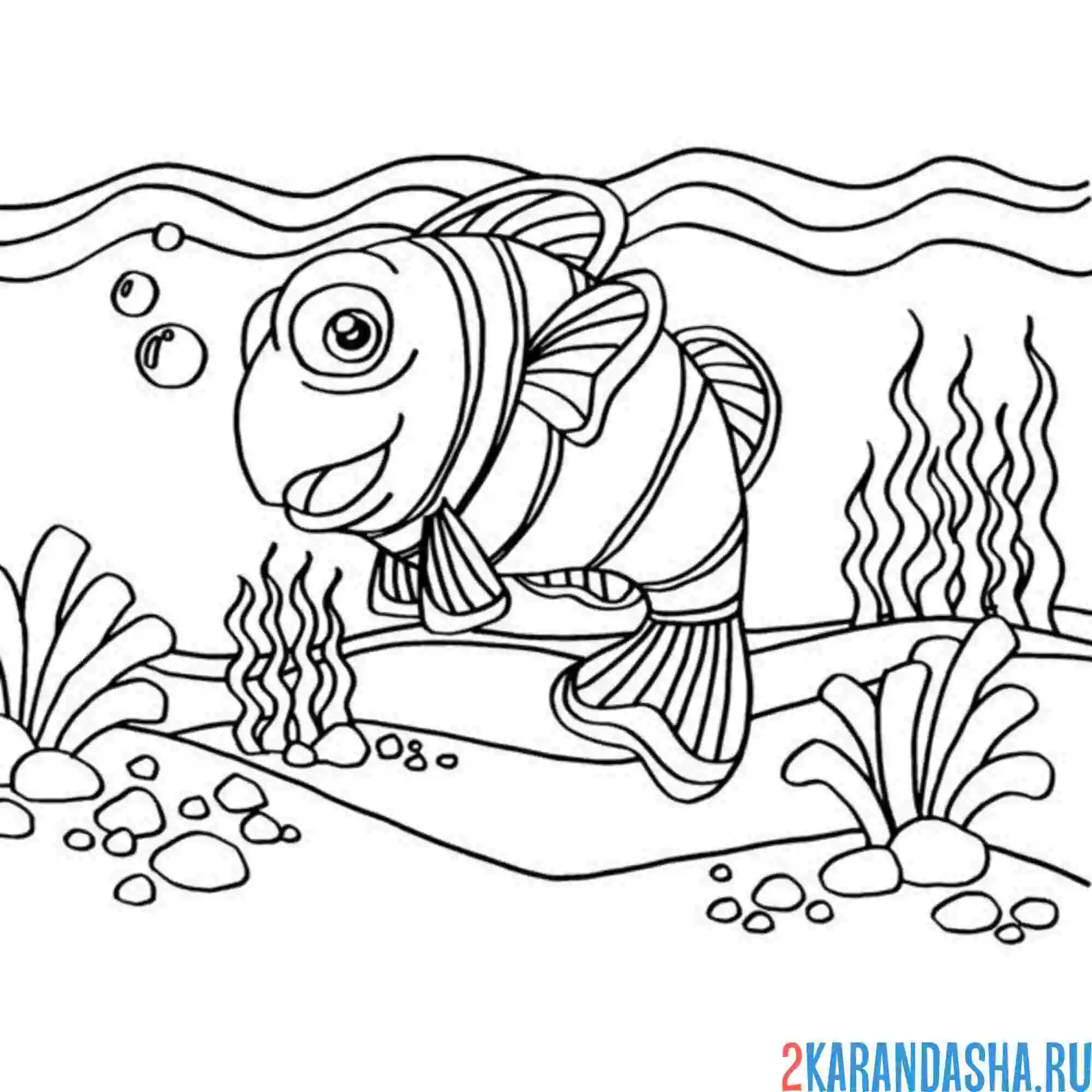 Раскраска клоун рыба в воде