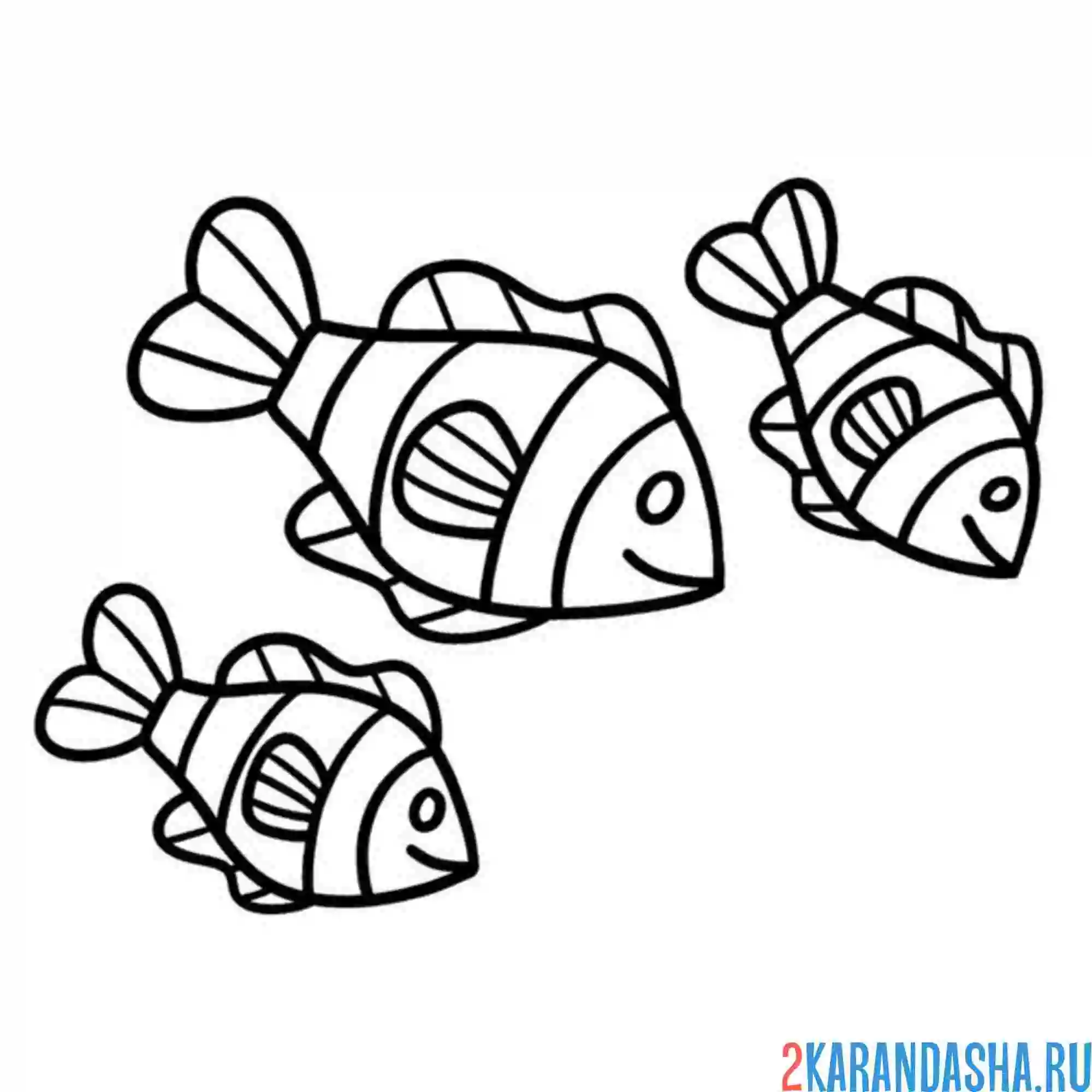 Раскраска косяк рыб