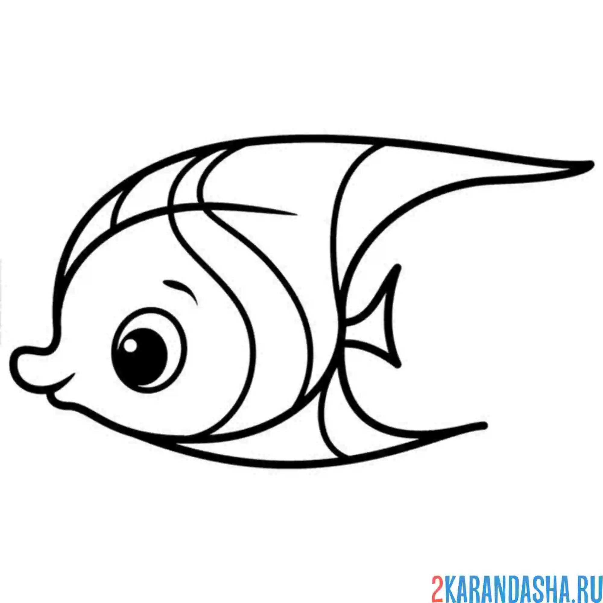 Раскраска морская рыба