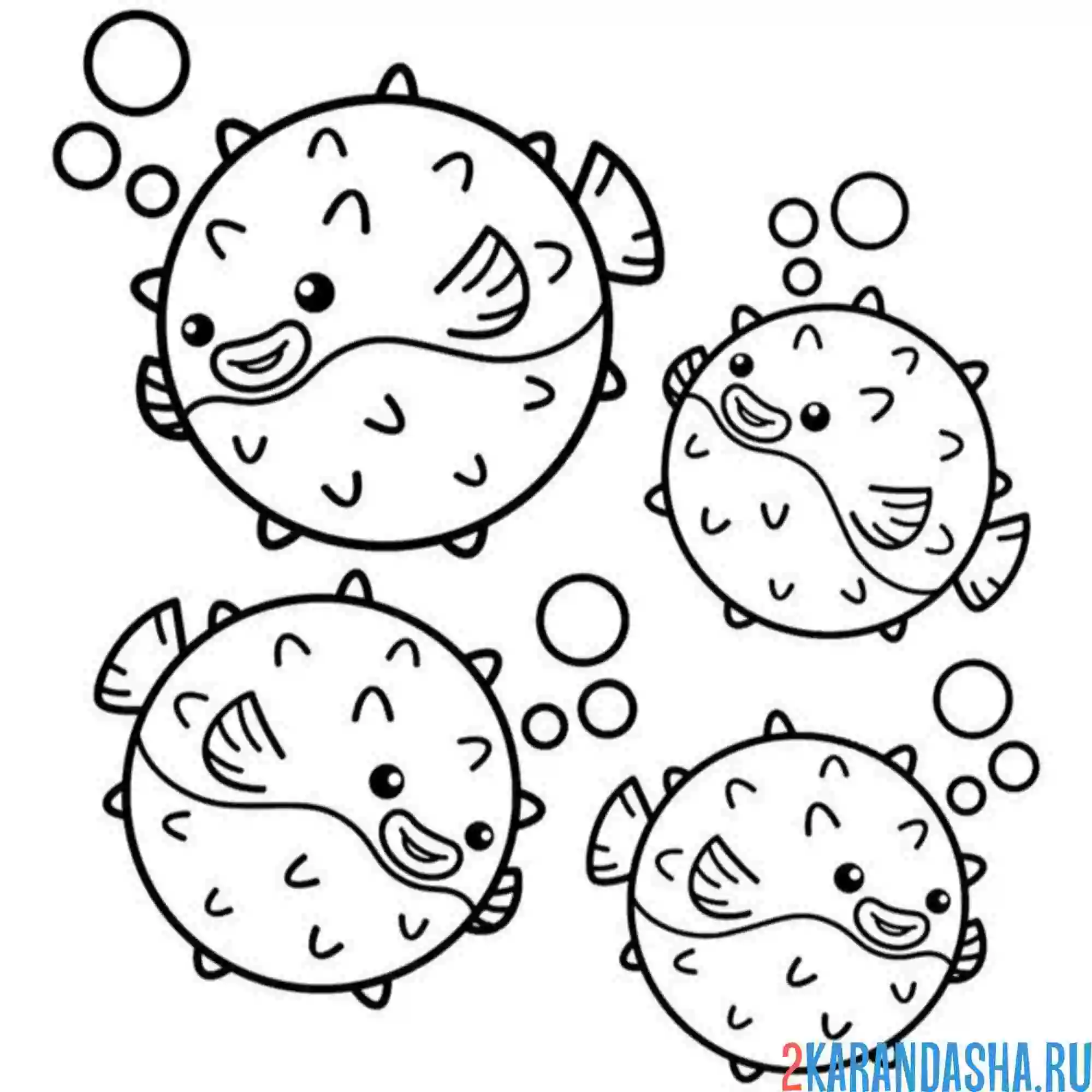 Раскраска фугу рыба