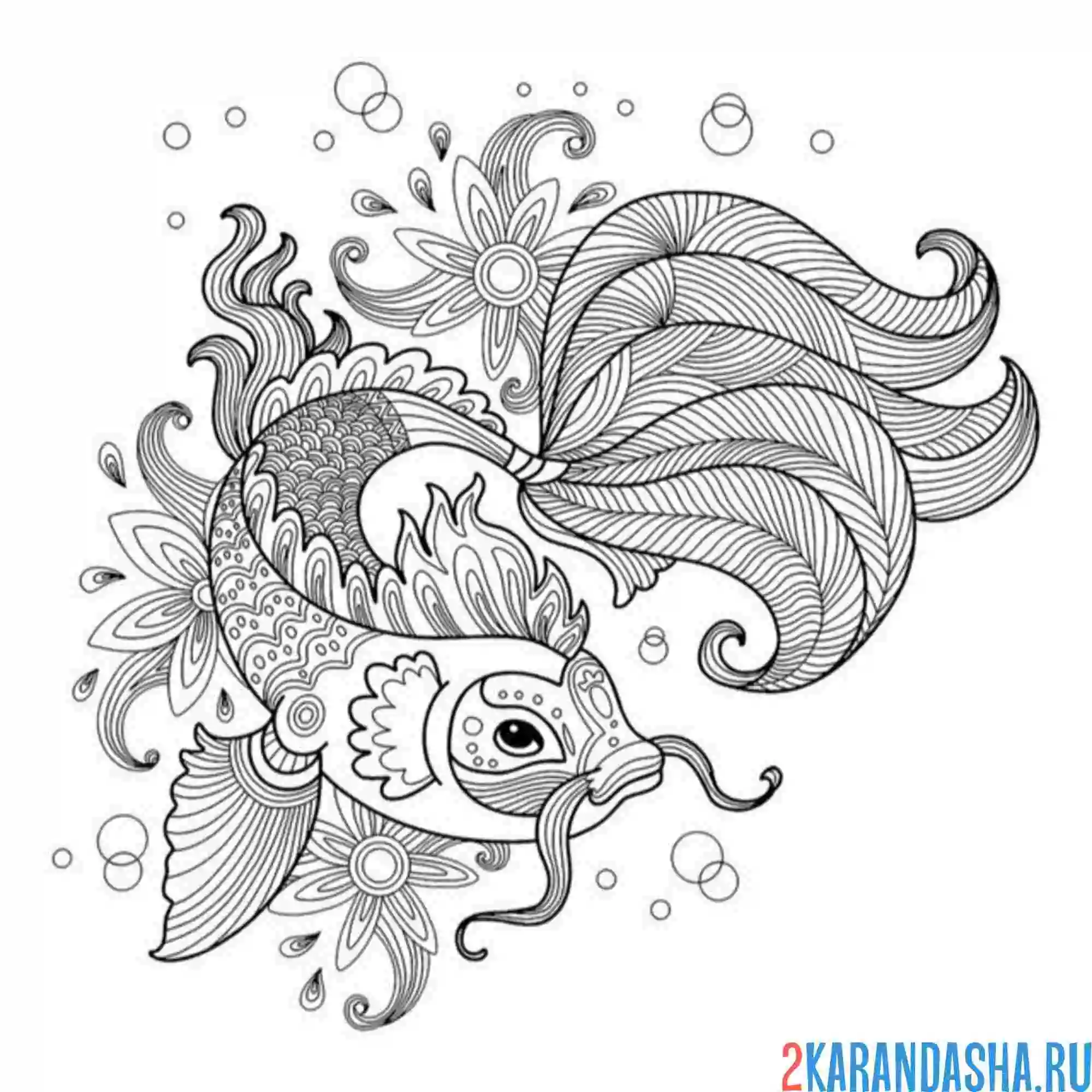 Раскраска антистресс рыба сом
