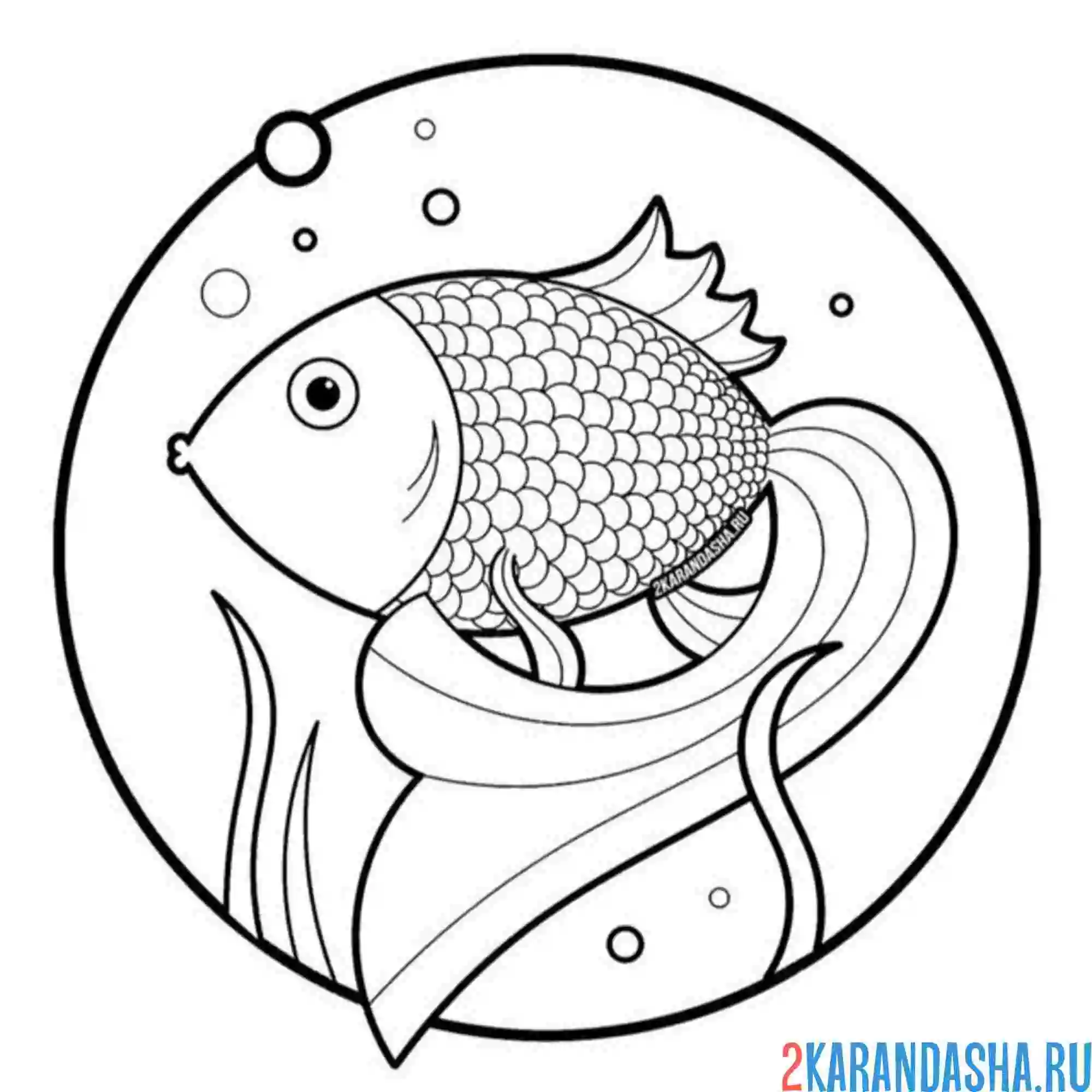 Раскраска рыба на дне