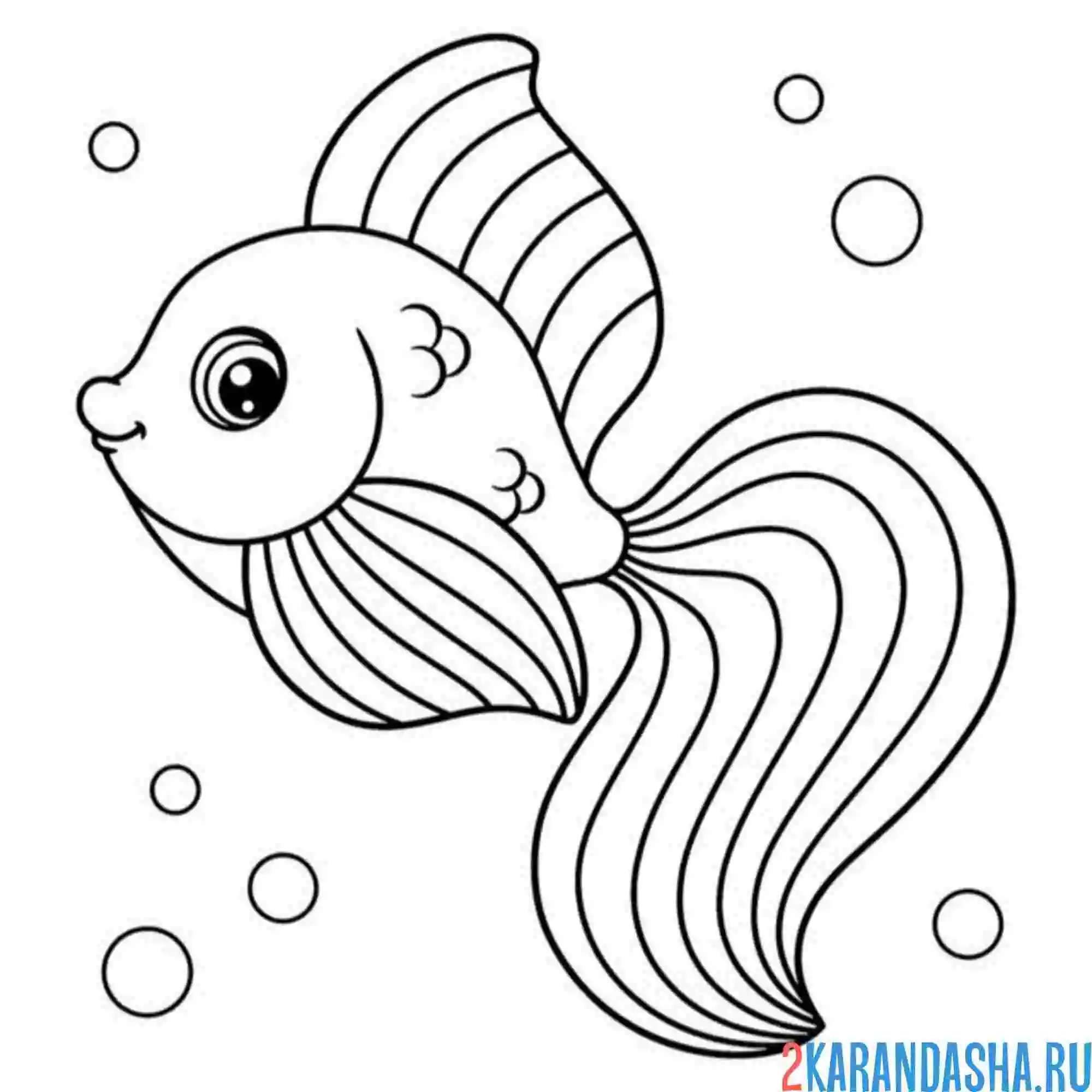 Раскраска рыба морская золотая