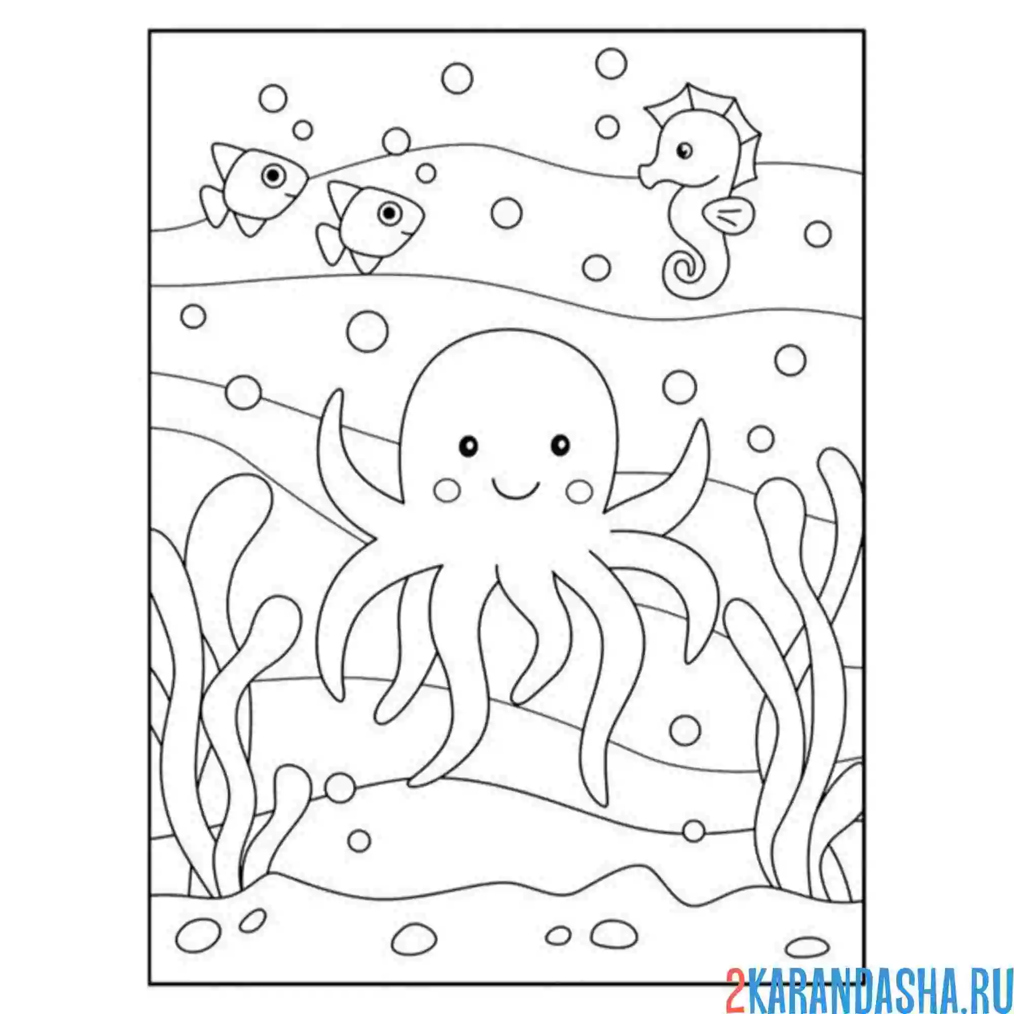 Раскраска осьминог и морской конек