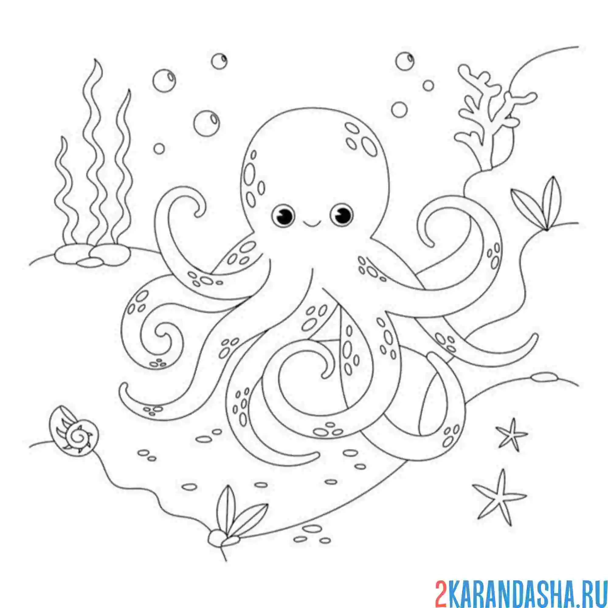 Раскраска осьминог на морском дне