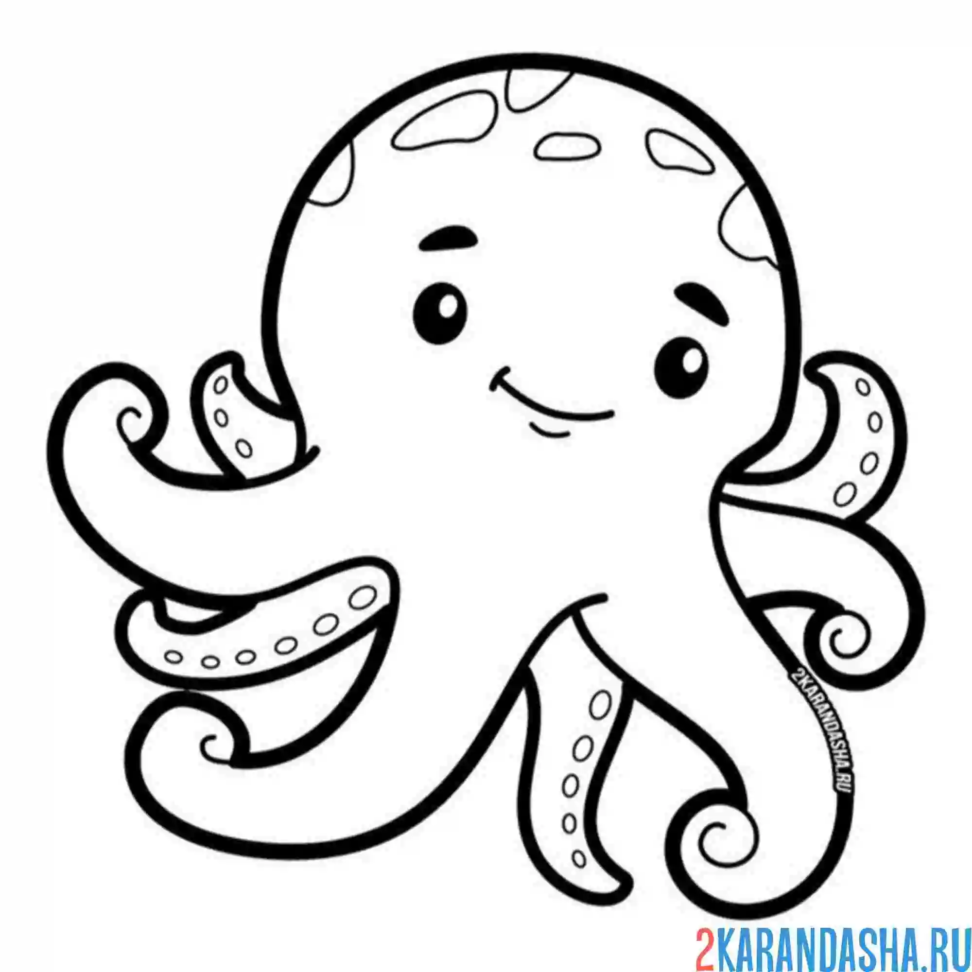 Раскраска хорошенький осьминог