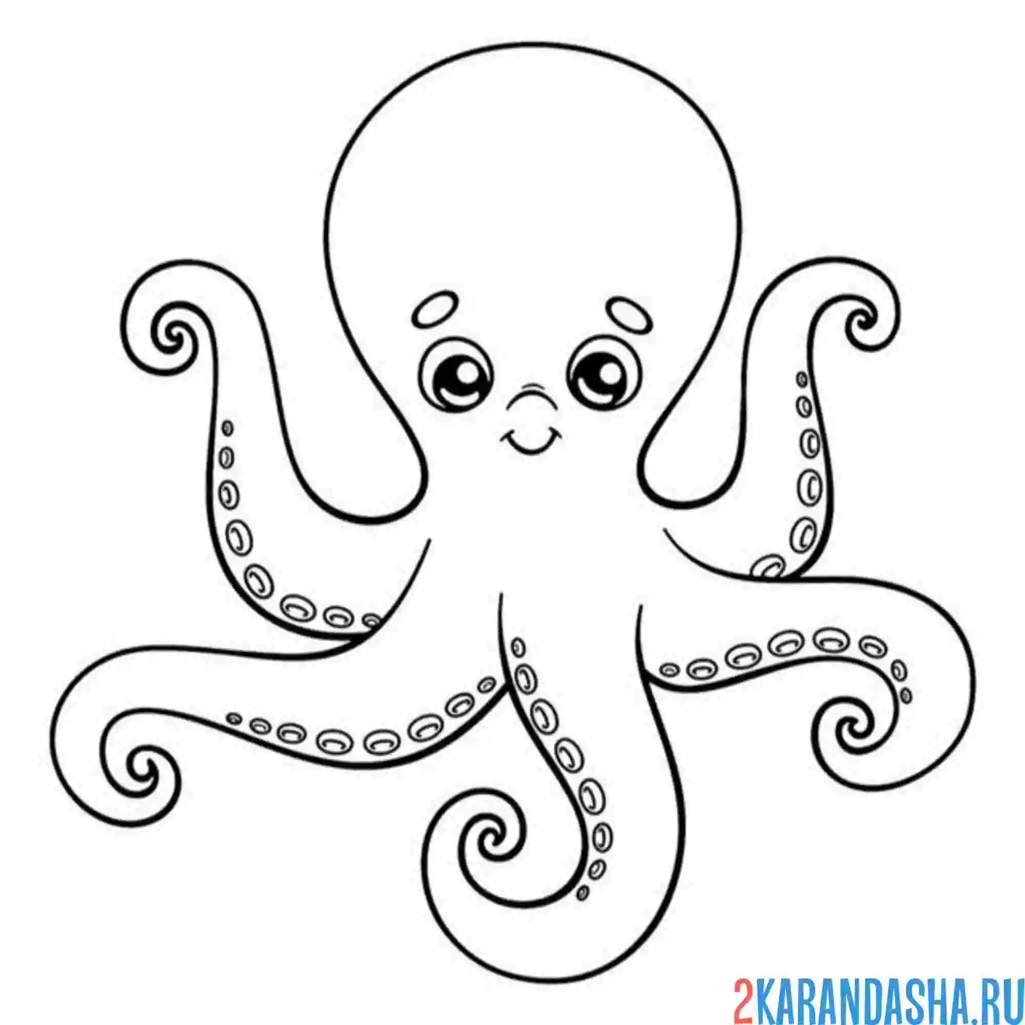 Раскраска морской осьминог