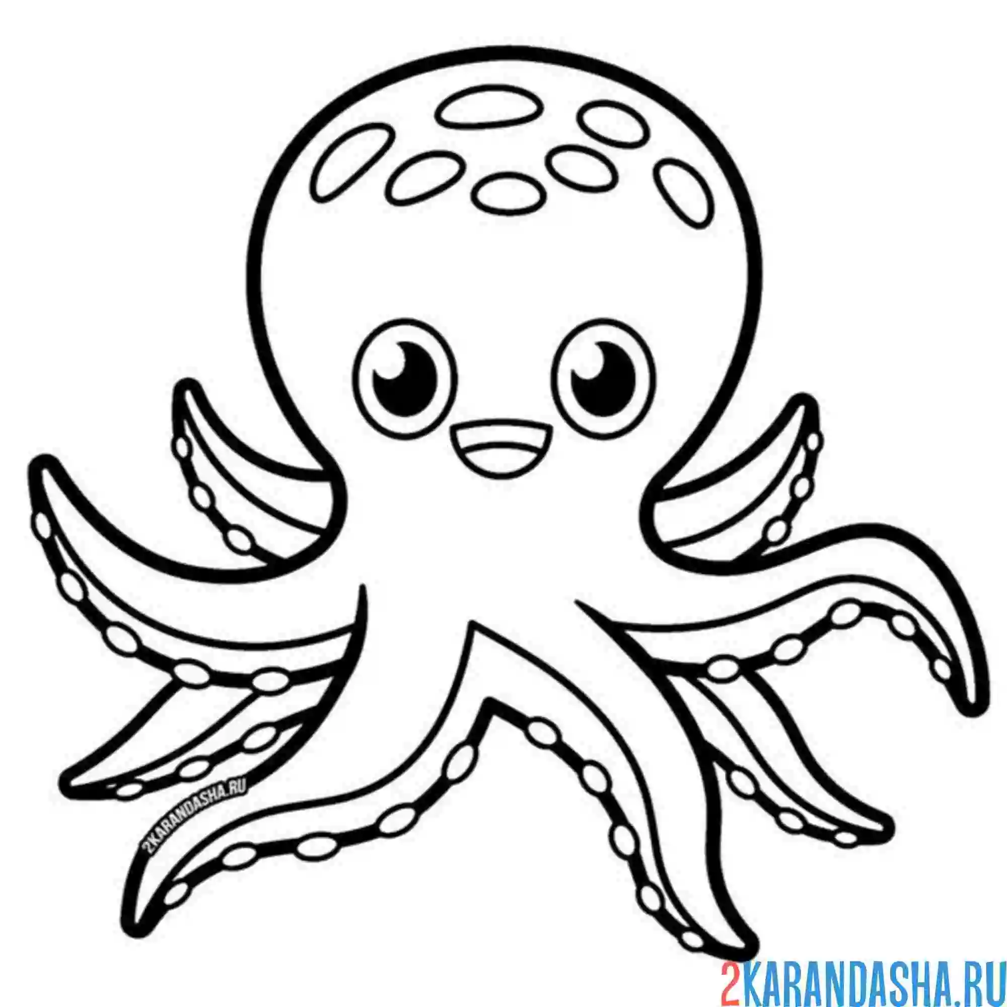 Раскраска осьминог улыбается