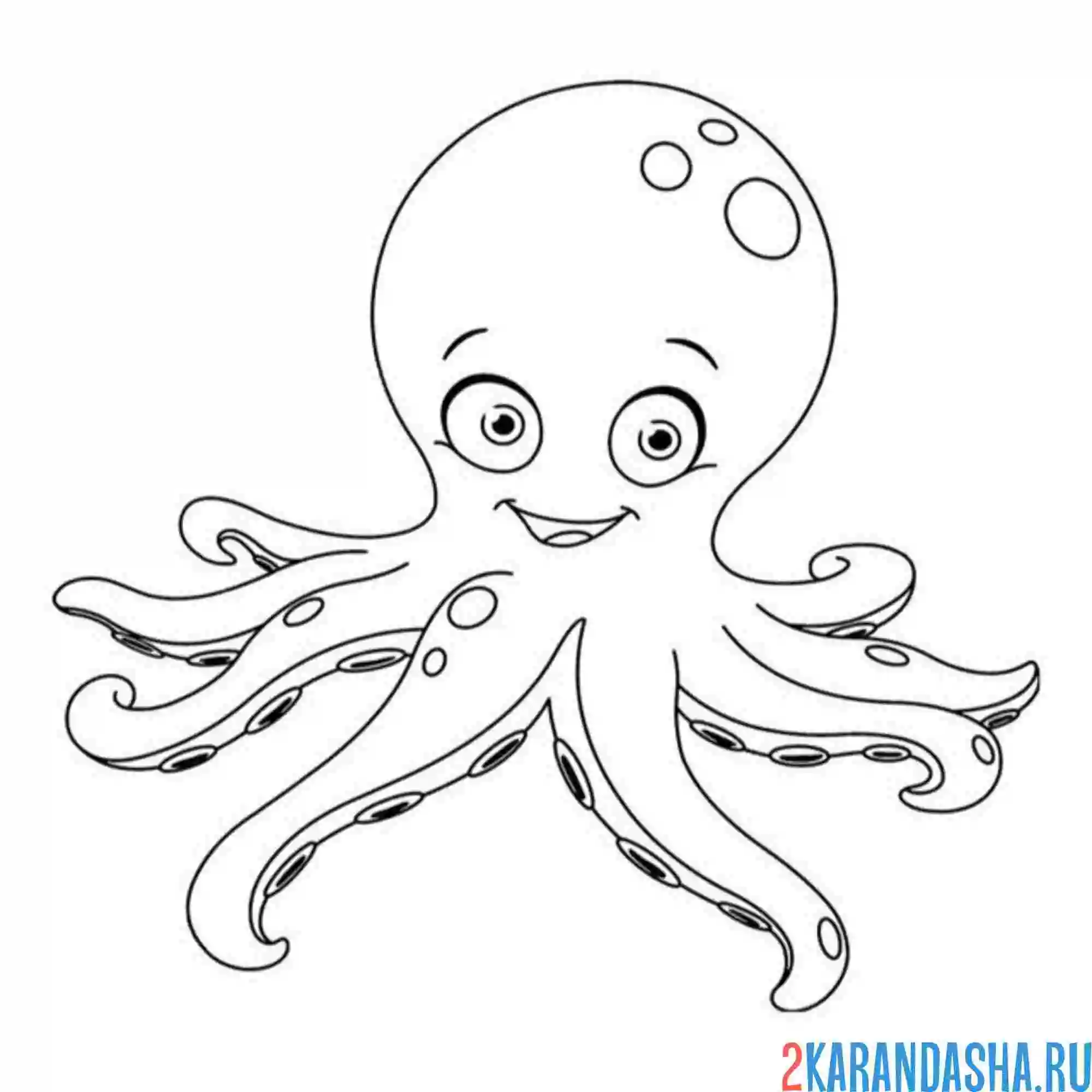 Раскраска осьминог смешной