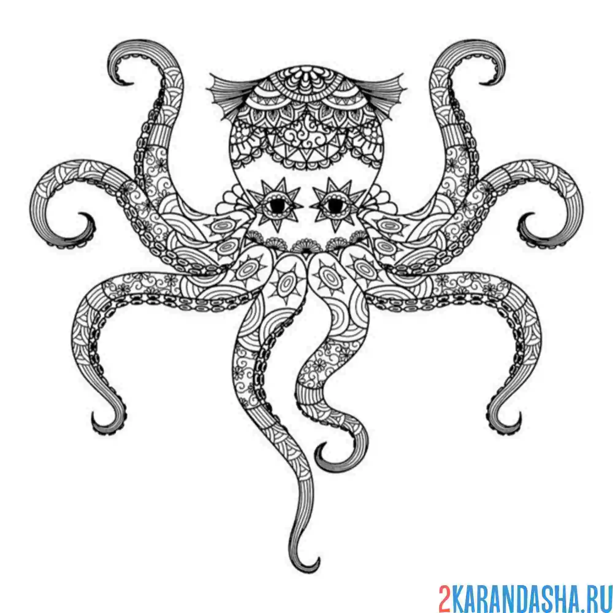 Раскраска осьминог антистресс