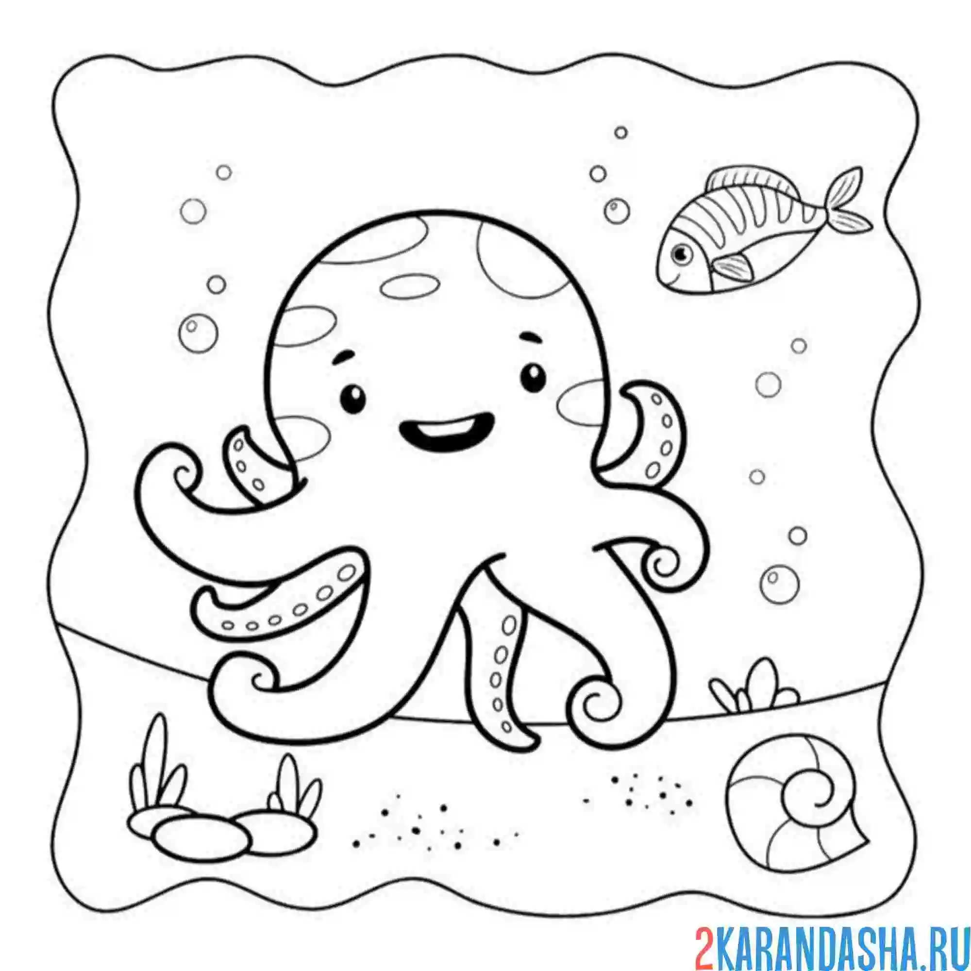 Раскраска осьминог и рыбка