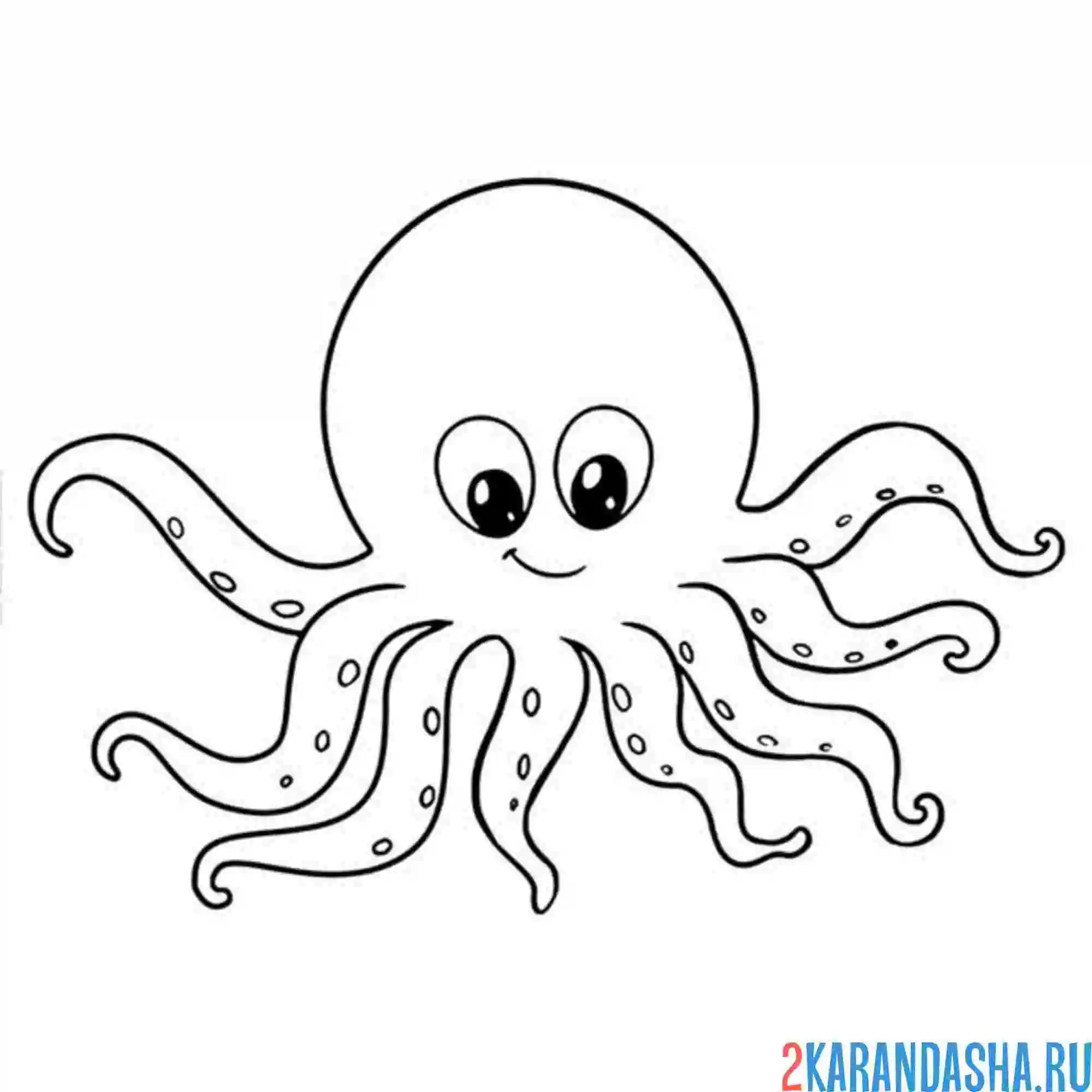 Раскраска осьминог малыш