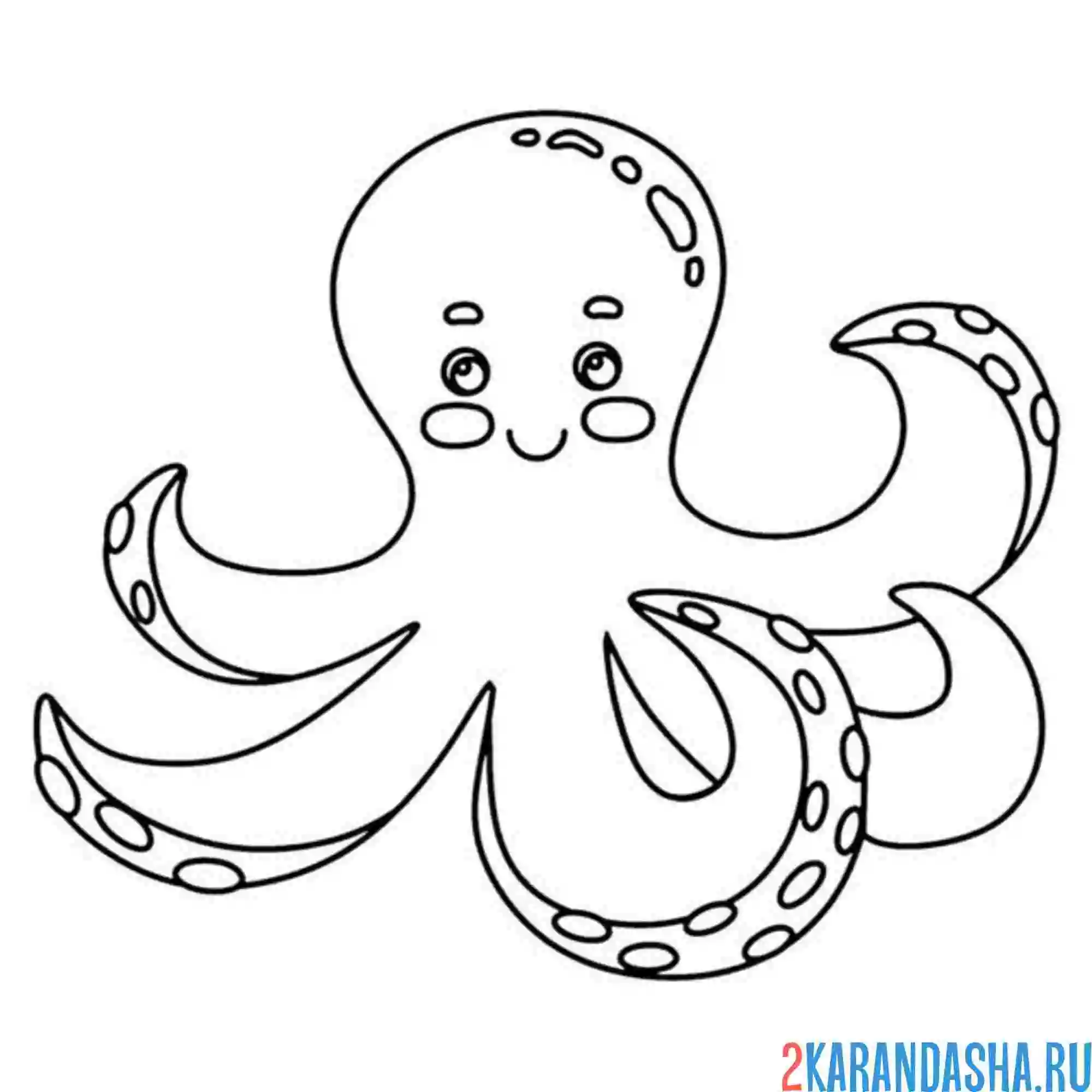 Раскраска осьминог простой
