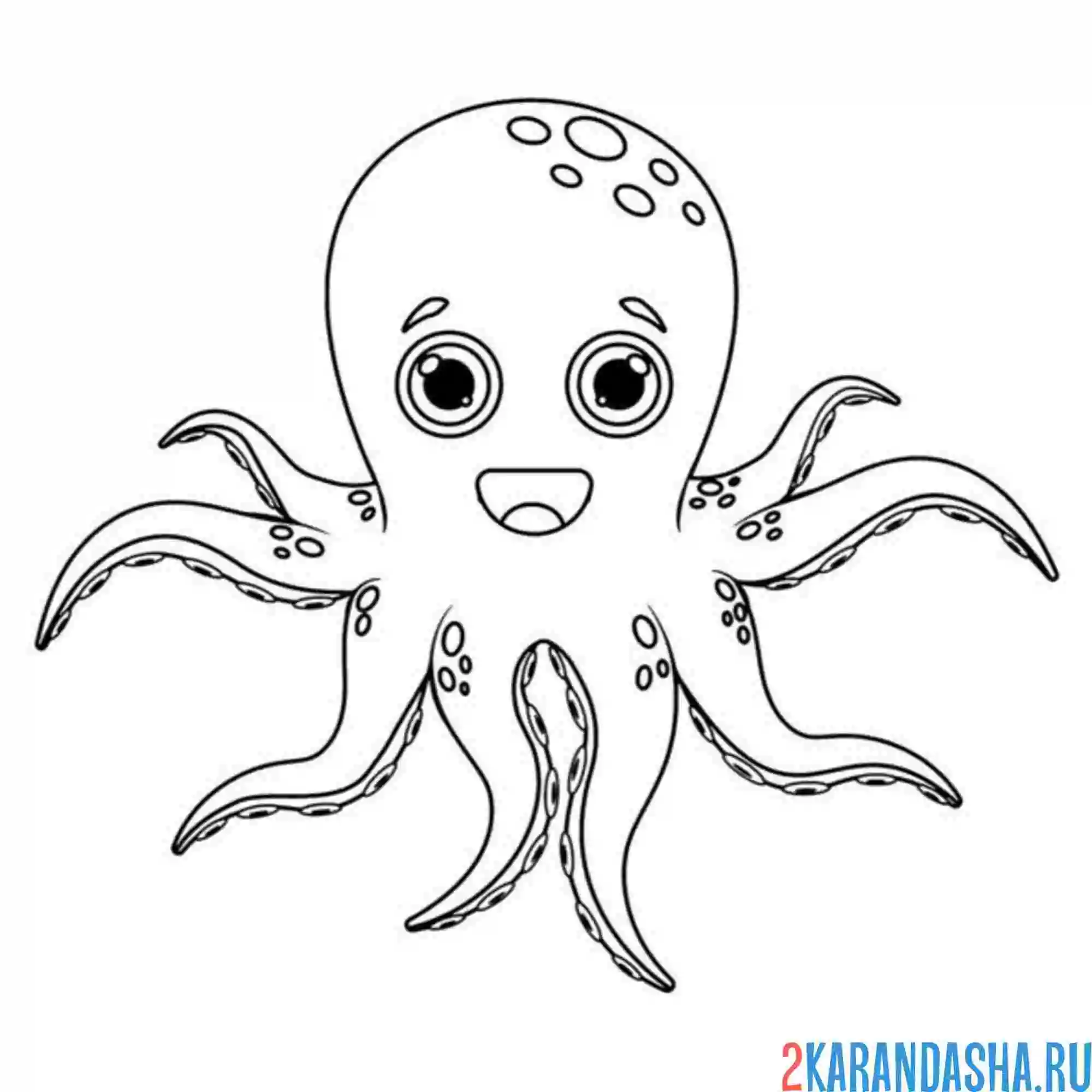 Раскраска осьминог смеется