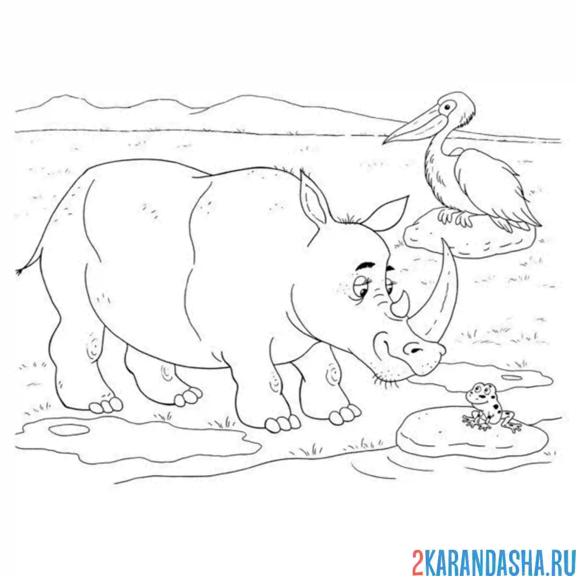 Раскраска носорог и цапля