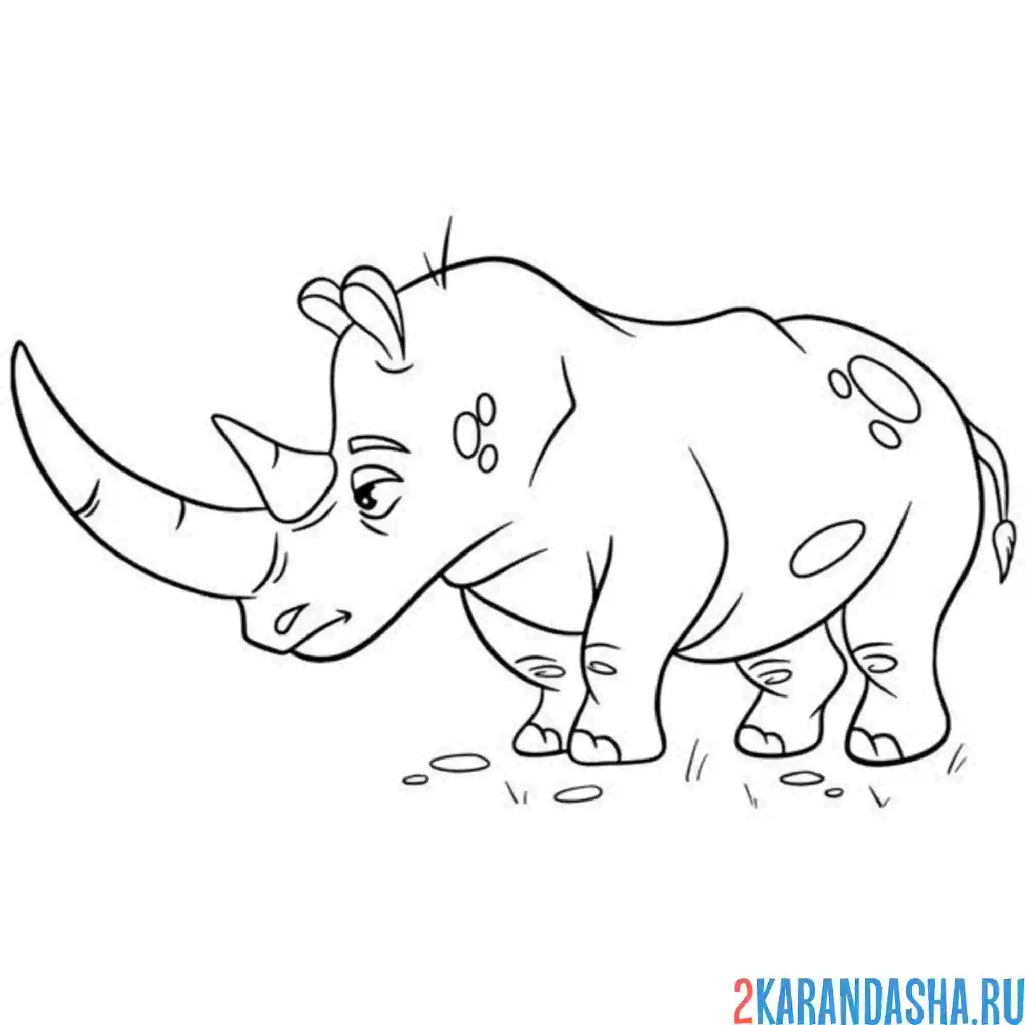 Раскраска носорог с длинным рогом