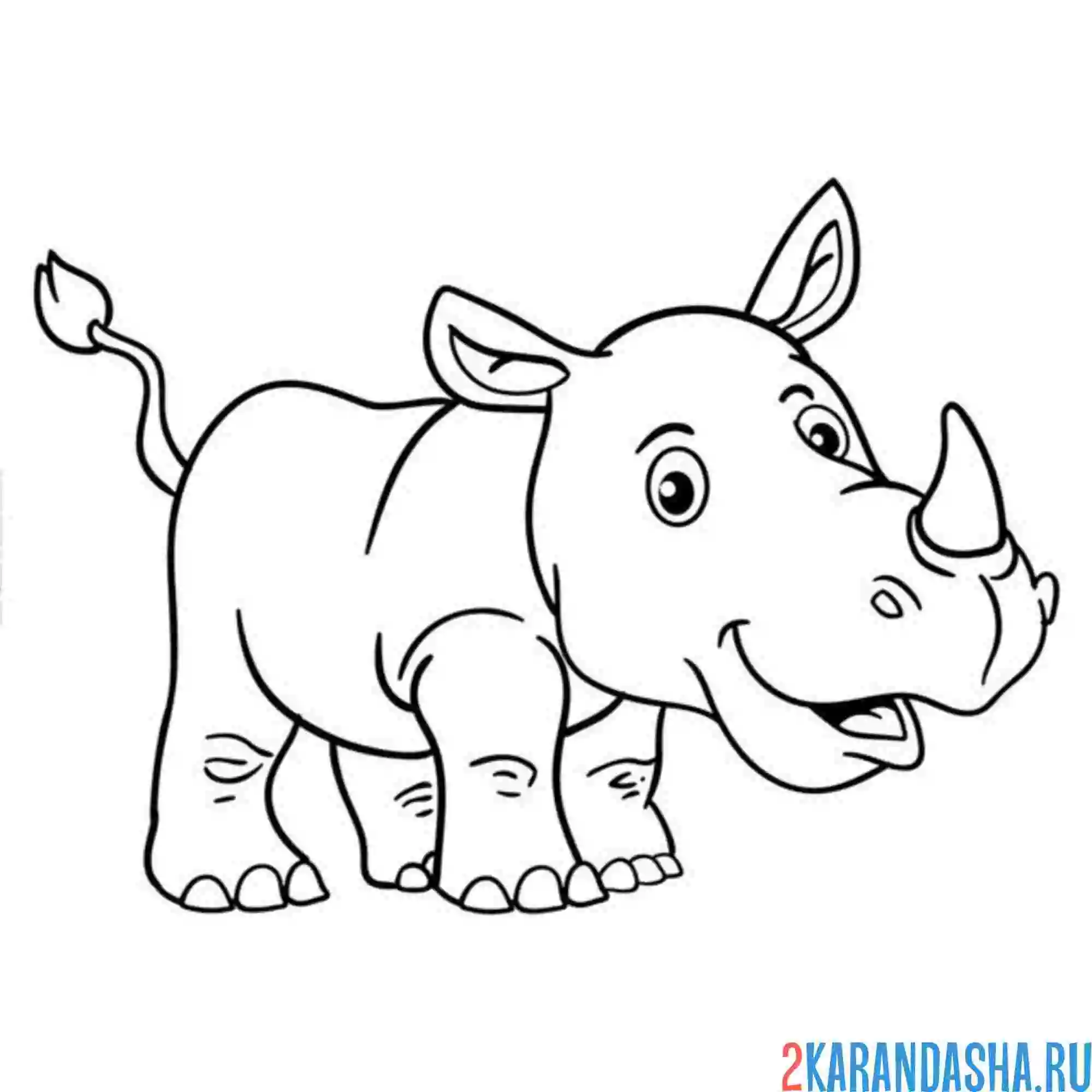 Раскраска смешной носорог