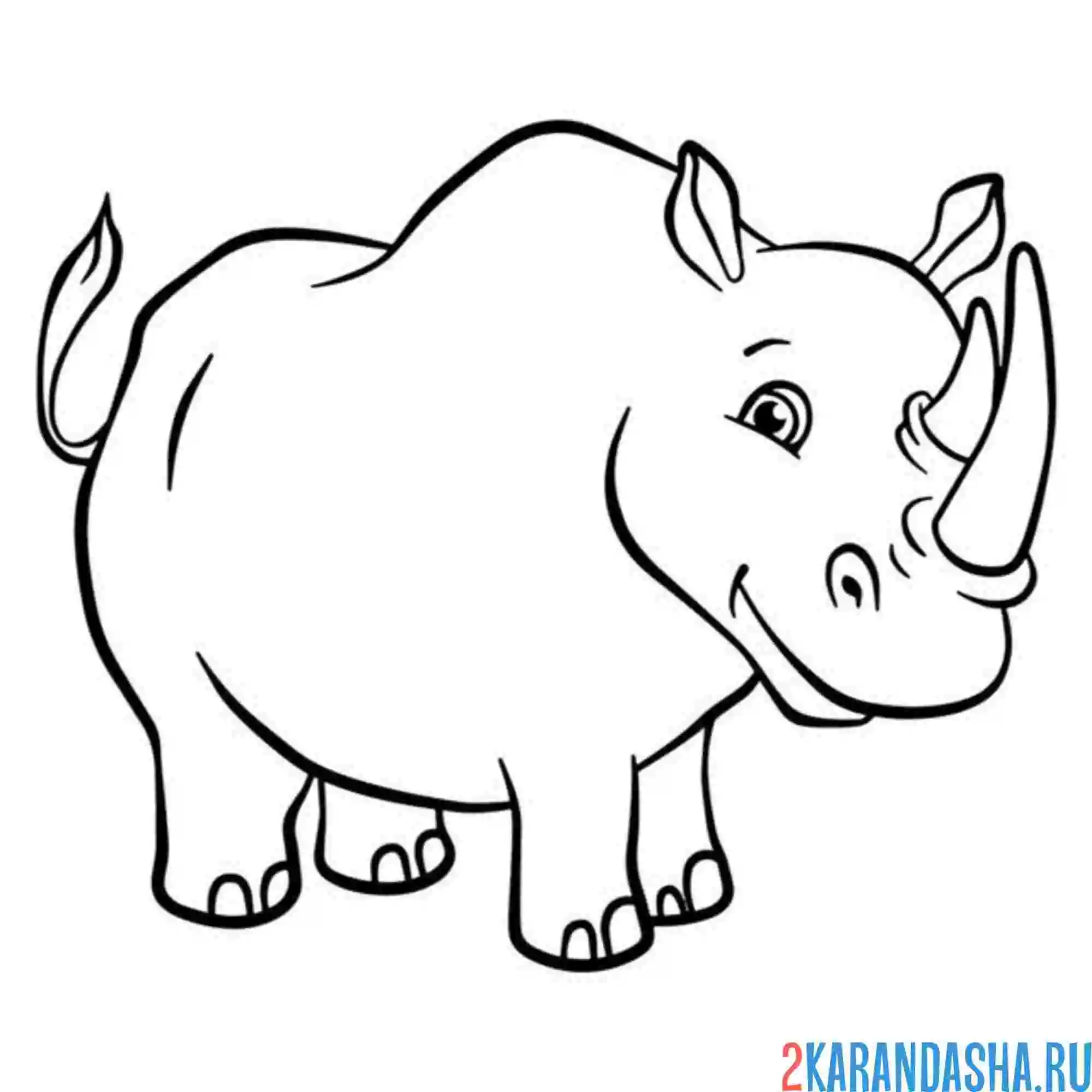 Раскраска симпатичный носорог