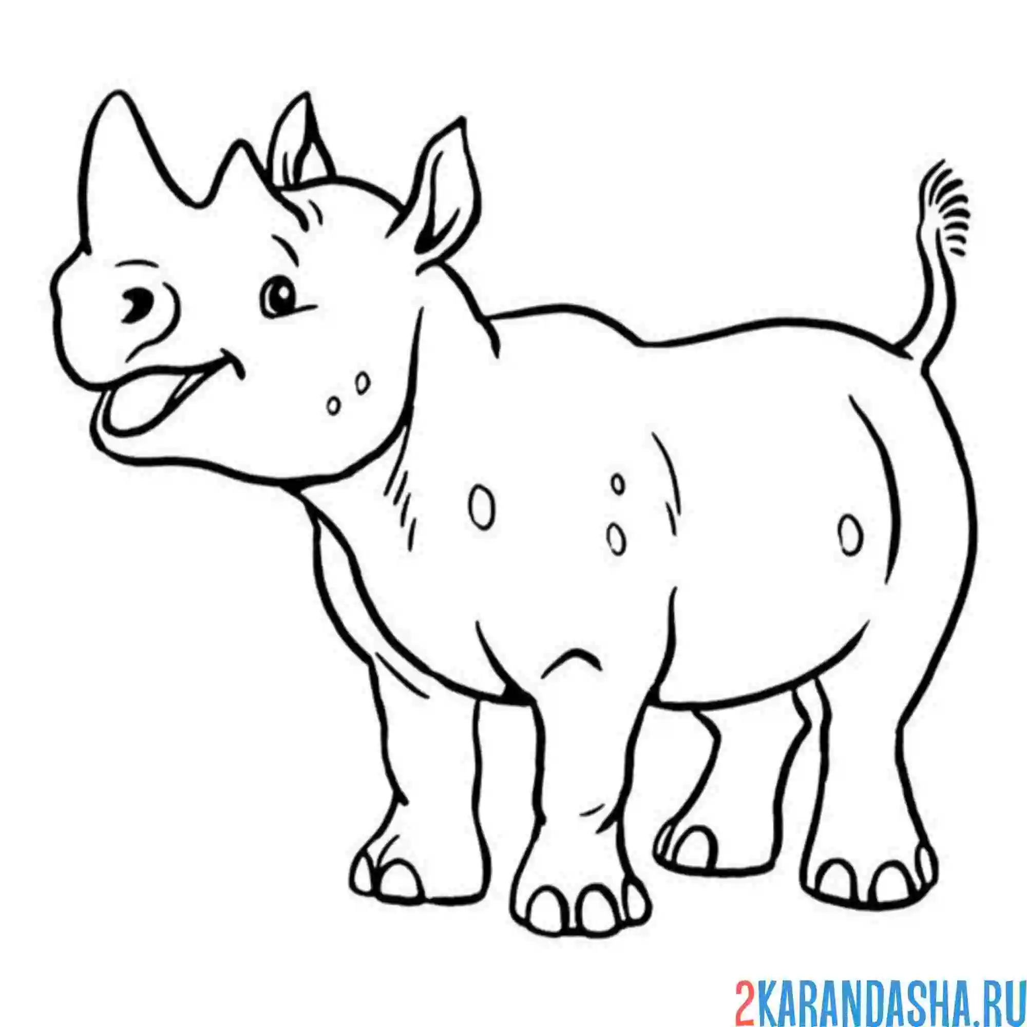 Раскраска африканский носорог