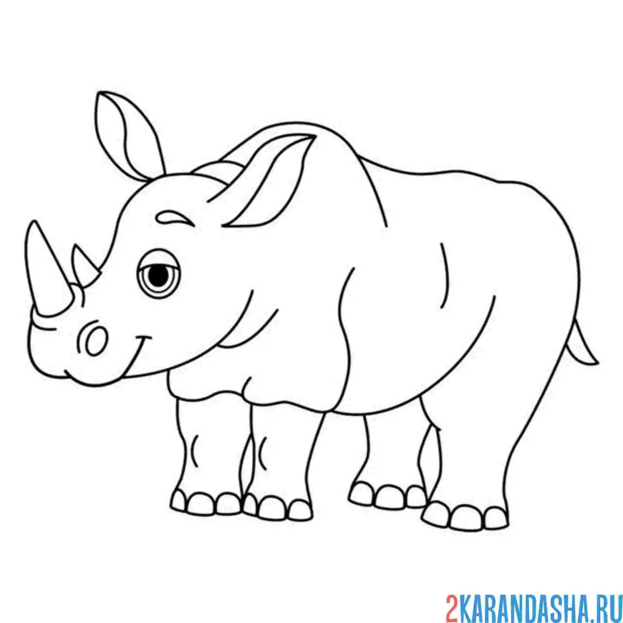 Раскраска носорог один