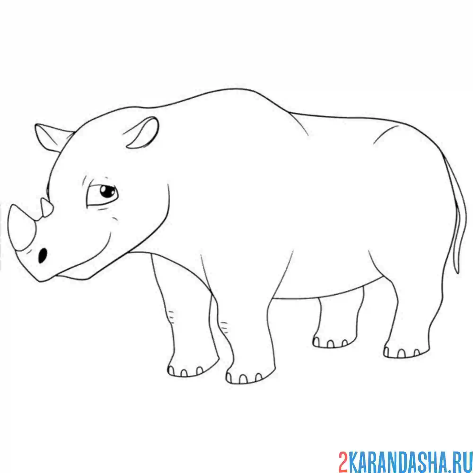 Раскраска носорог необычный