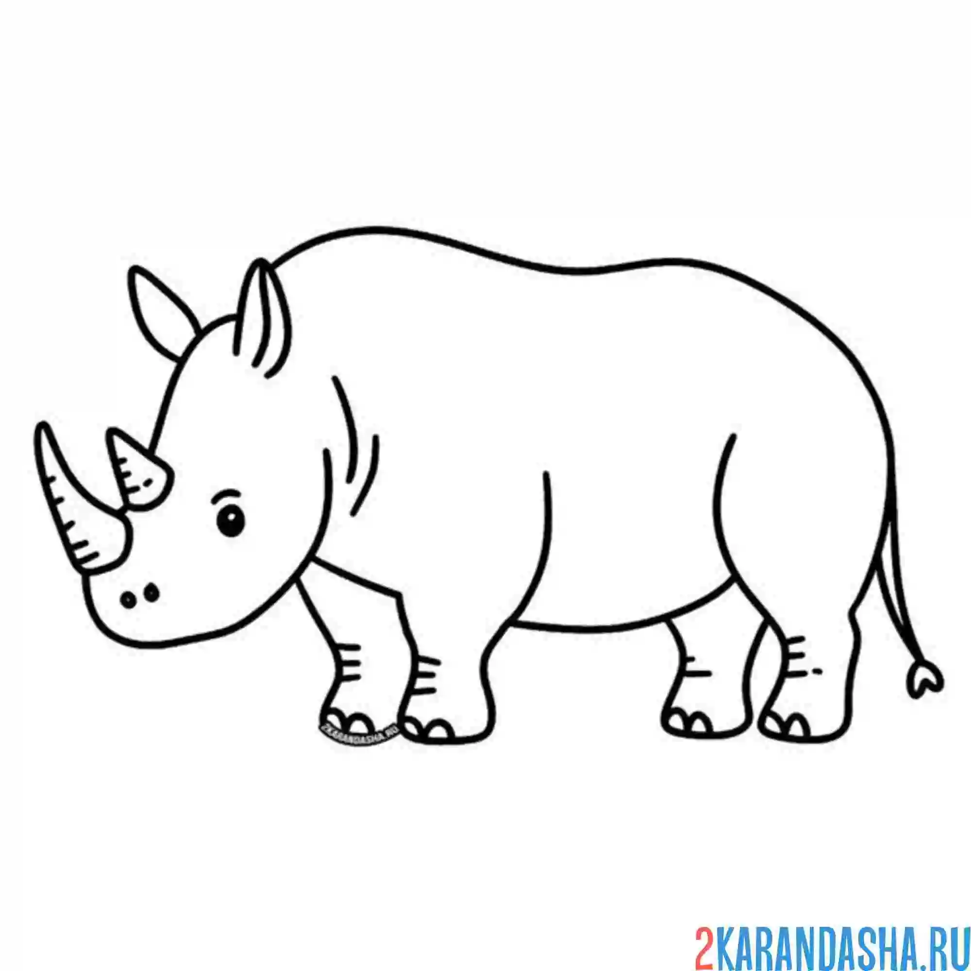 Раскраска носорог два рога
