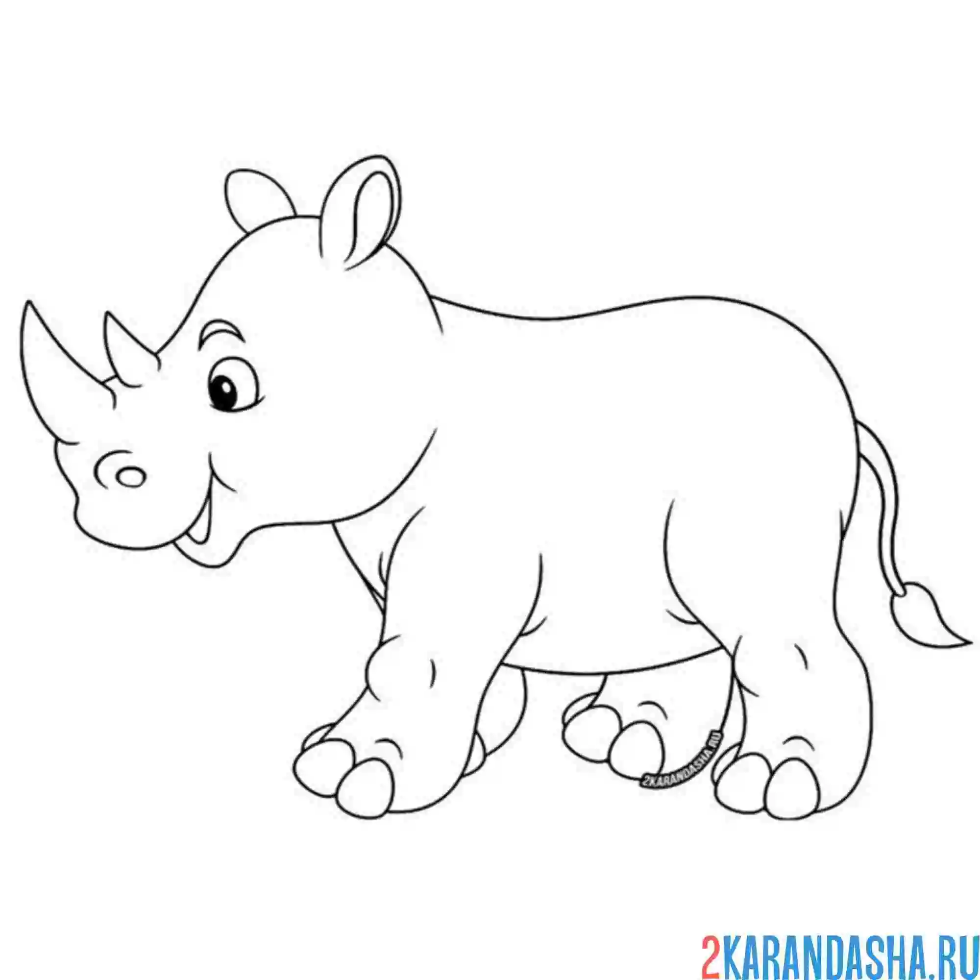 Раскраска носорог подросток