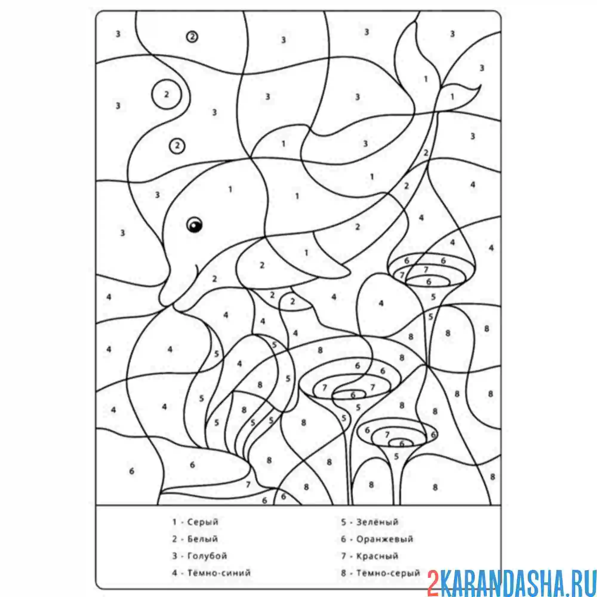 Раскраска по номерам: дельфин