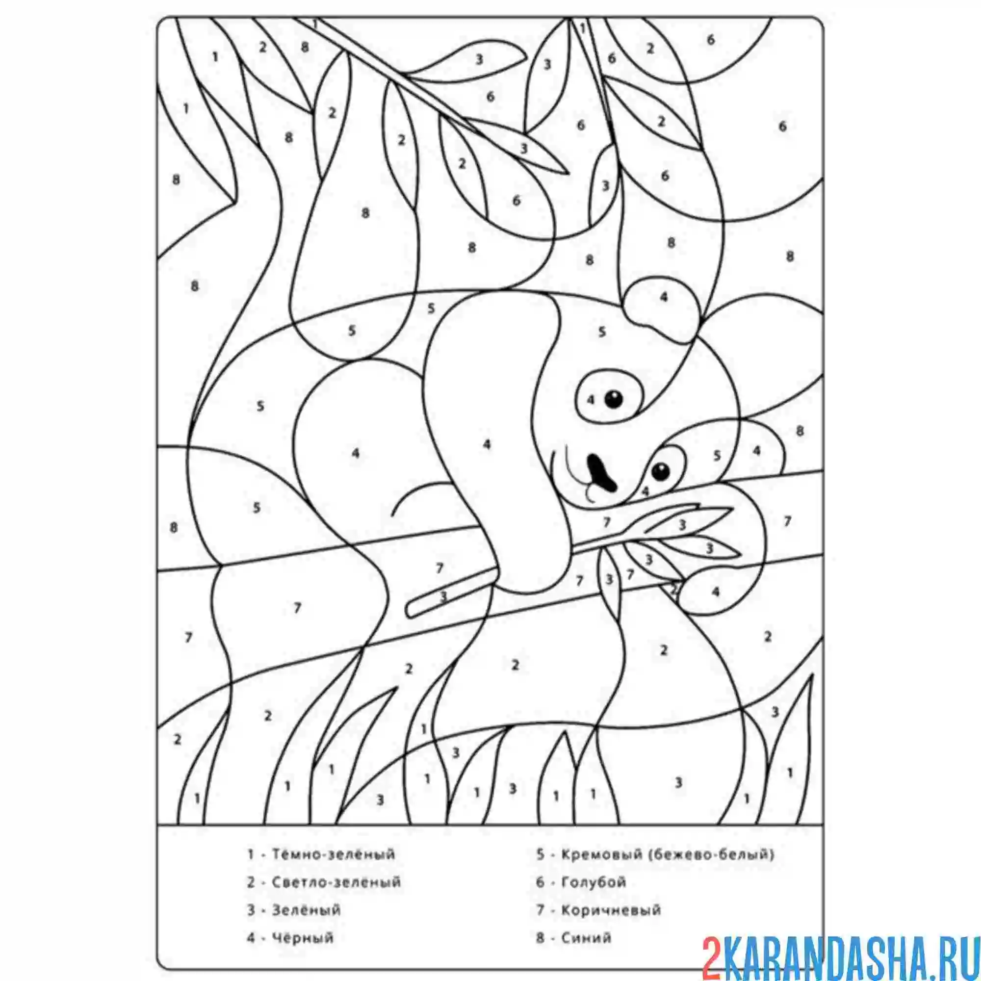 Раскраска по номерам: панда спит